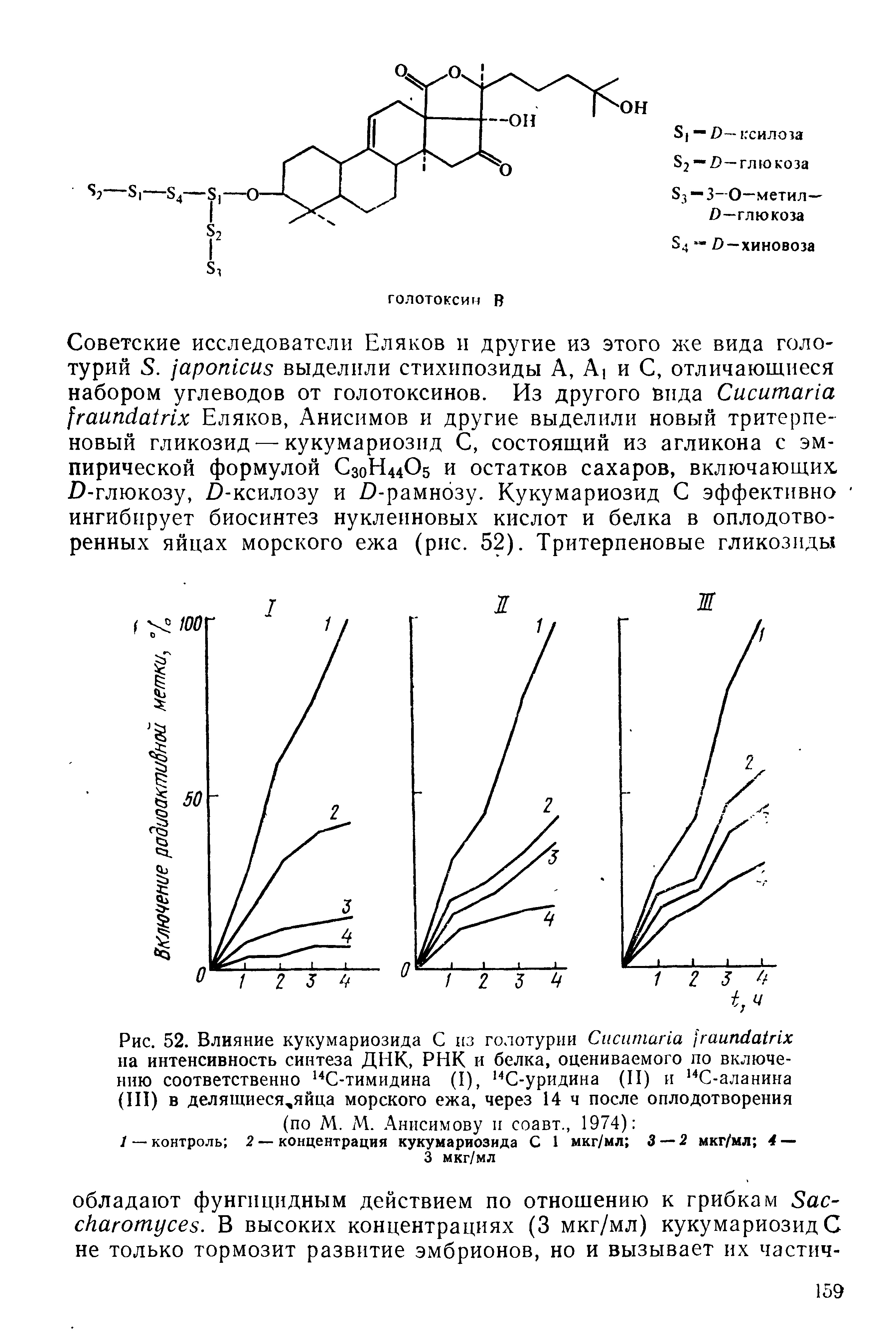 Рис. 52. Влияние кукумариозида С из голотурии Сиситапа гаипйаШх на интенсивность синтеза ДНК, РНК и белка, оцениваемого по включению соответственно 14С-тимидина (I), 14С-уридина (II) и 14С-аланина (III) в делящиеся яйца морского ежа, через 14 ч после оплодотворения (по М. М. Анисимову и соавт., 1974) ...