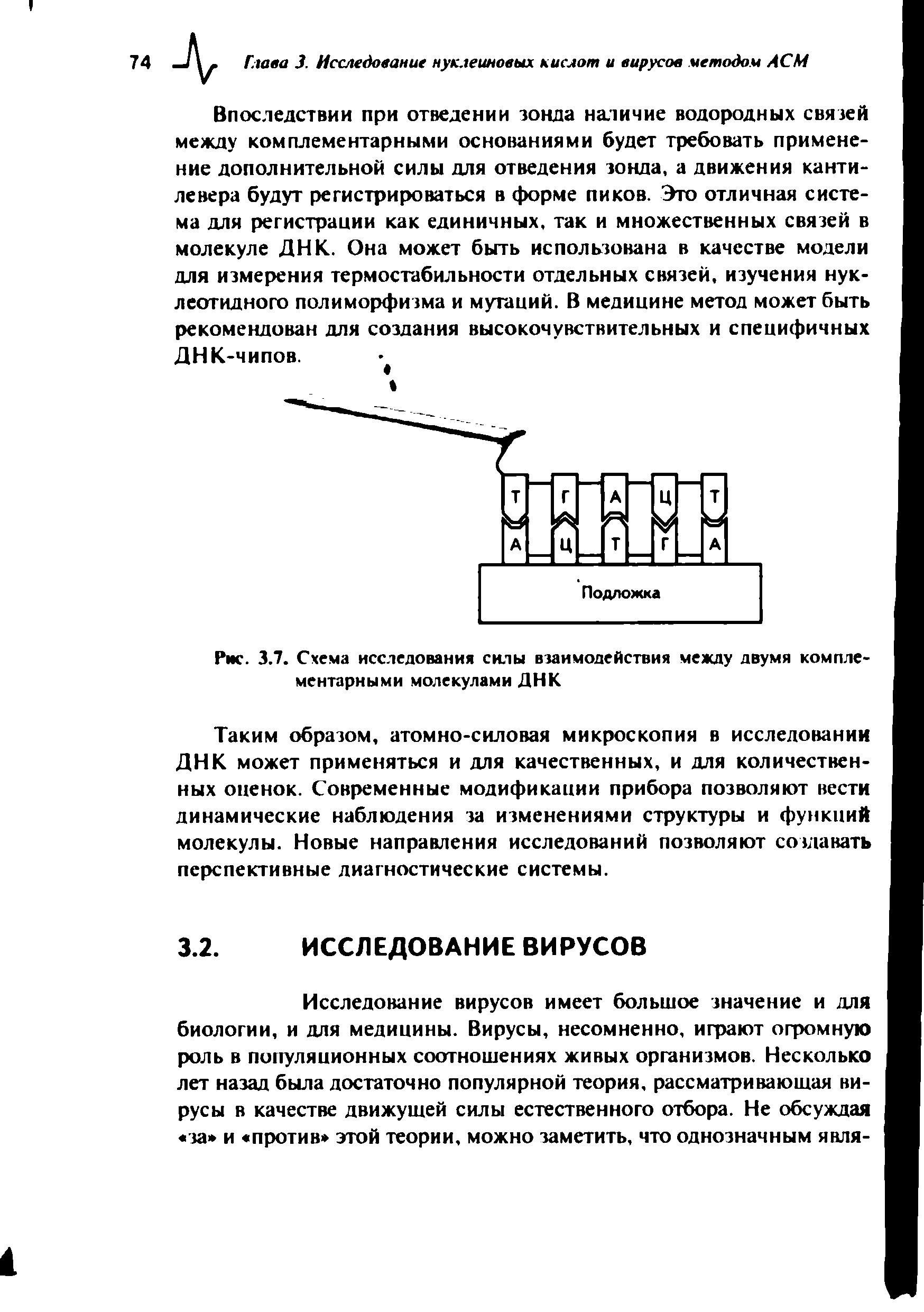 Рис. 3.7. Схема исследования силы взаимодействия между двумя комплементарными молекулами ДНК...