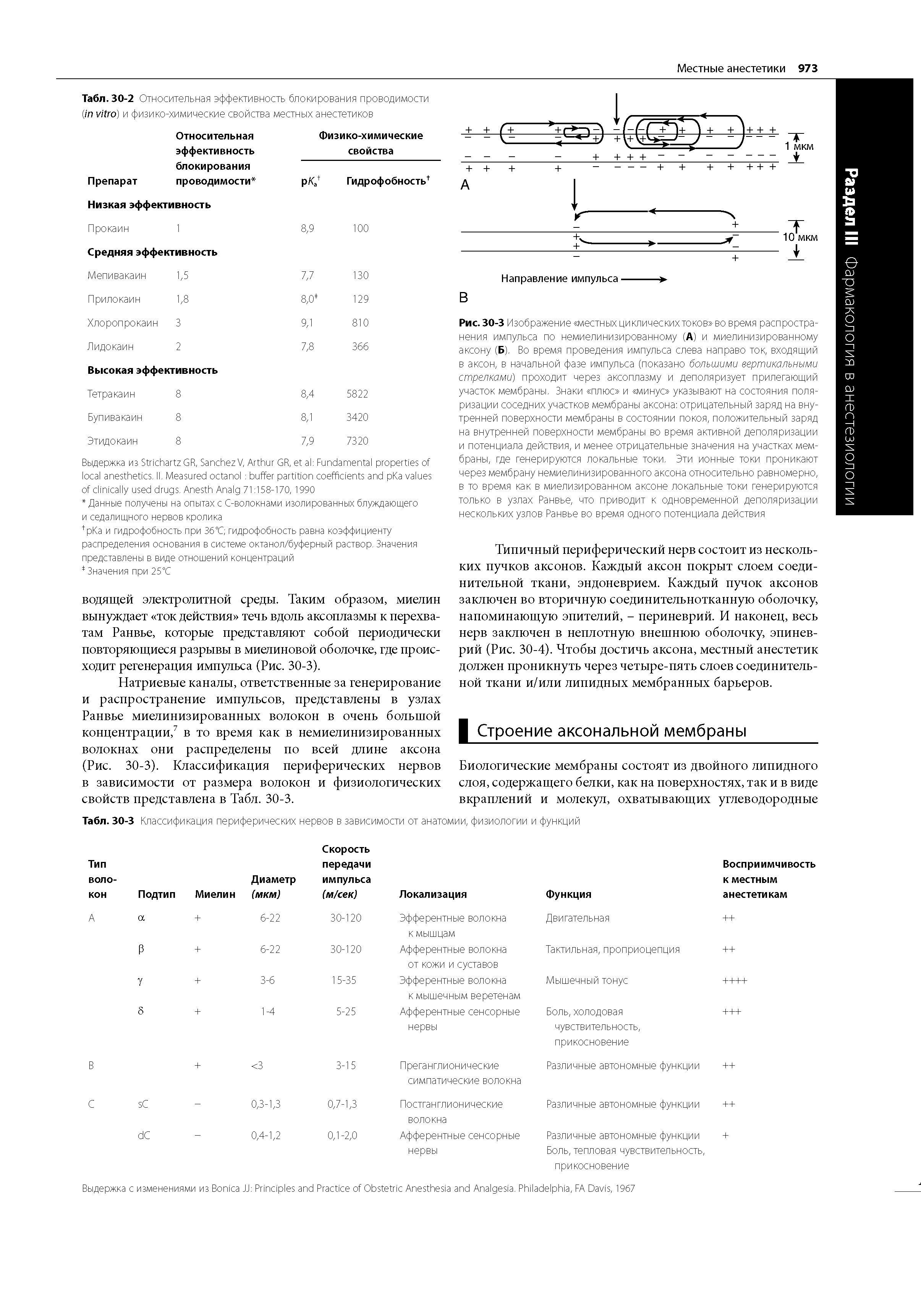 Табл. 30-3 Классификация периферических нервов в зависимости от анатомии, физиологии и функций...