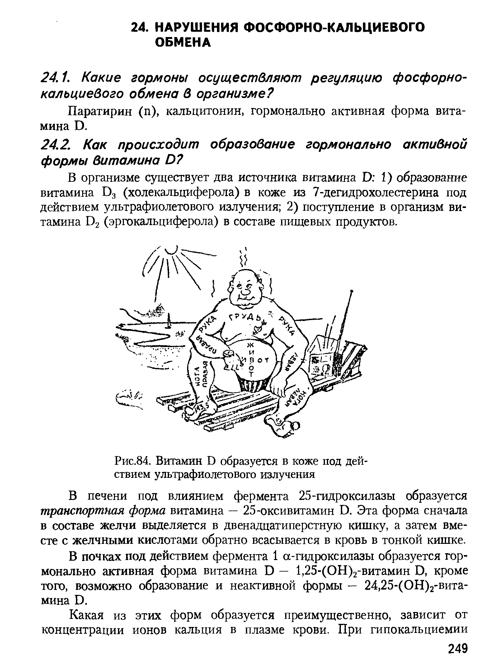 Рис.84. Витамин Б образуется в коже под действием ультрафиолетового излучения...