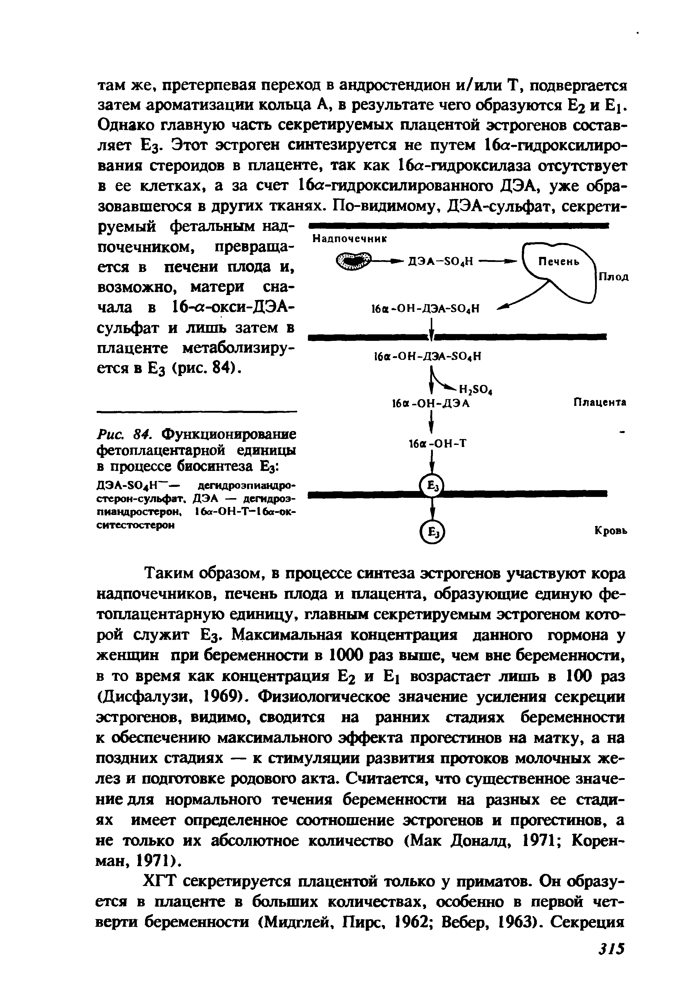 Рис. 84. Функционирование фетоплацентарной единицы в процессе биосинтеза Ез ДЭЛ-БОдН-— дегидроэпиандро-стерон-сульфат, ДЭА — дегидроэпиандростерон, 16а-ОН-Т-16а-ок-ситестостерон...