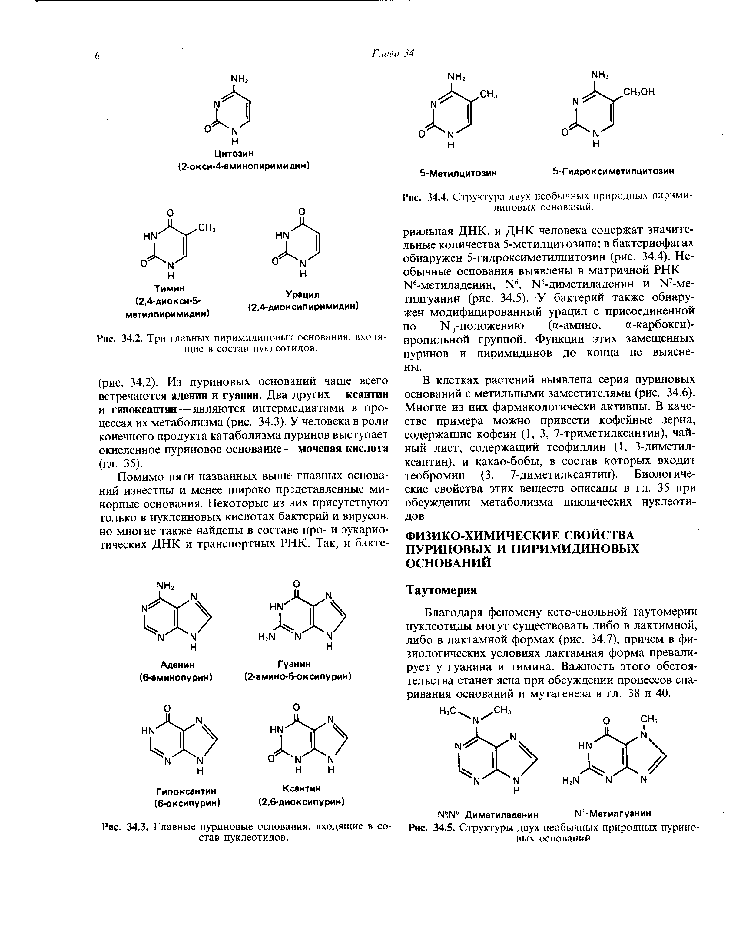 Рис. 34.2. Три главных пиримидиновых основания, входящие в состав нуклеотидов.