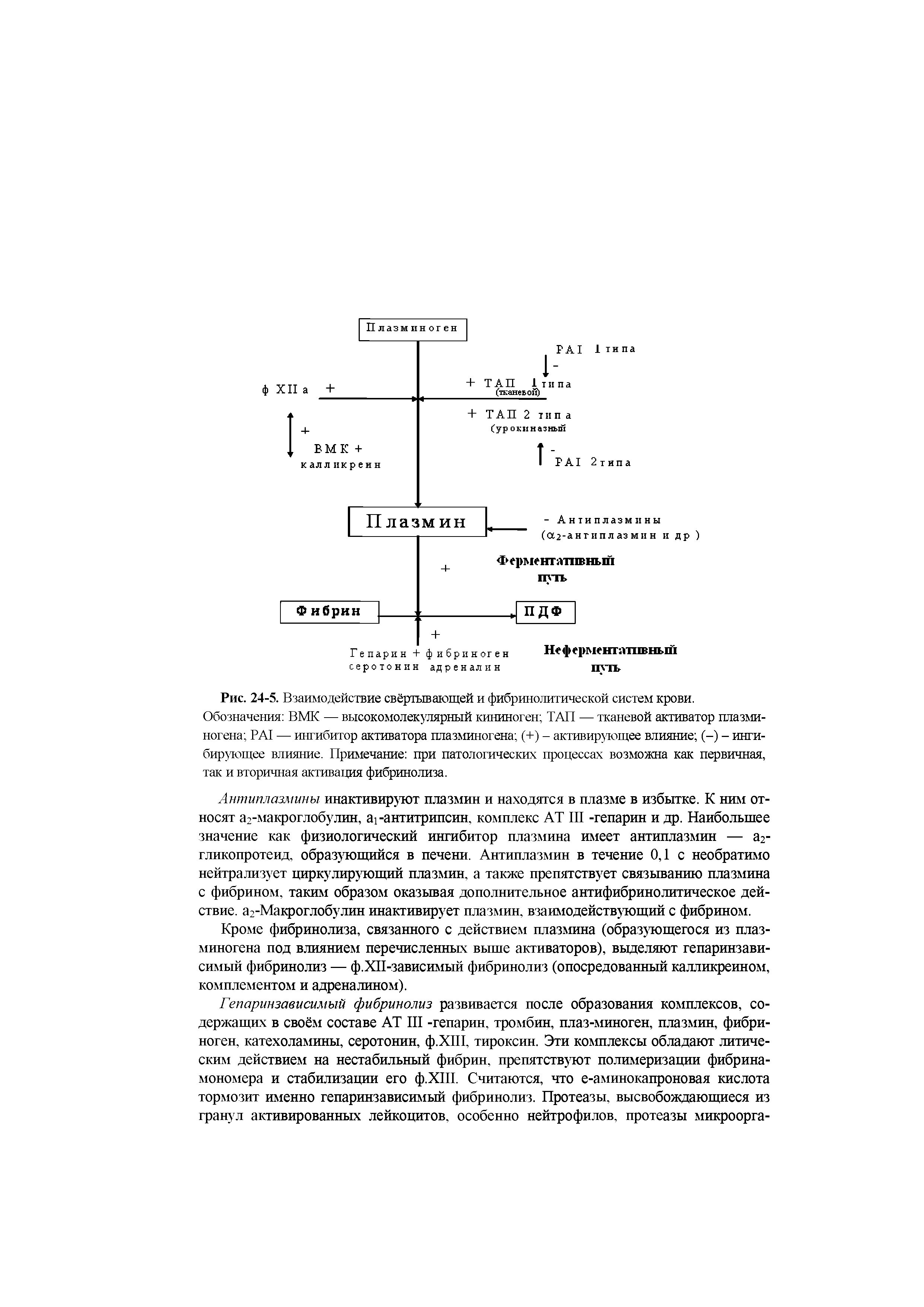 Рис. 24-5. Взаимодействие свёртывающей и фибринолитической систем крови. Обозначения ВМК — высокомолекулярный кининоген ТАП — тканевой активатор плазминогена РА1 — ингибитор активатора плазминогена (+) - активирующее влияние (-) - ингибирующее влияние. Примечание при патологических процессах возможна как первичная, так и вторичная активация фибринолиза.