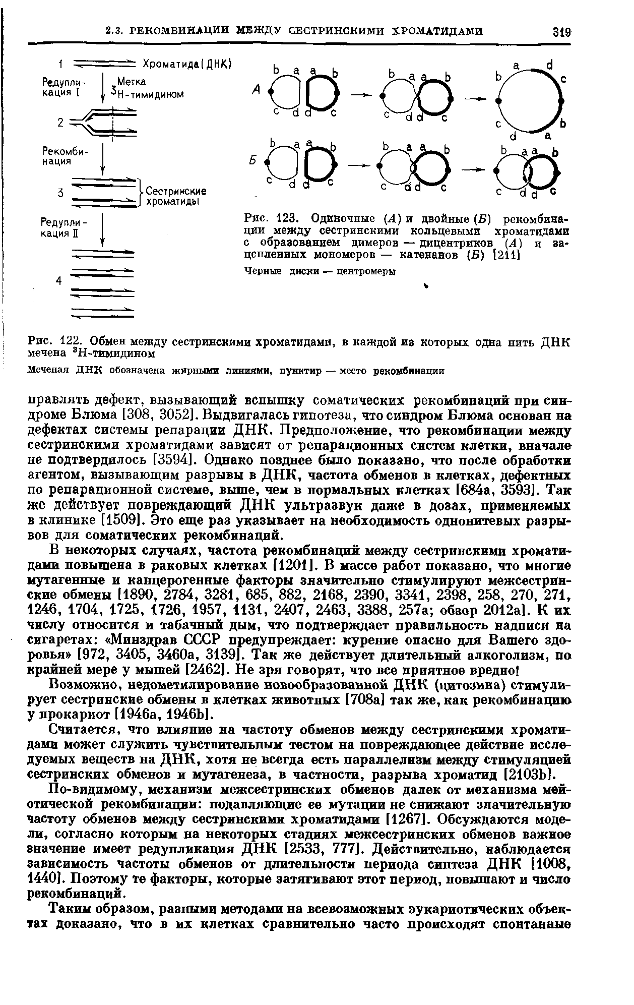 Рис. 123. Одиночные (Л) и двойные (Б) рекомбинации между сестринскими кольцевыми хроматидами с образованием димеров — дицентриков (Л) и зацепленных мономеров — катенанов (25) [211]...