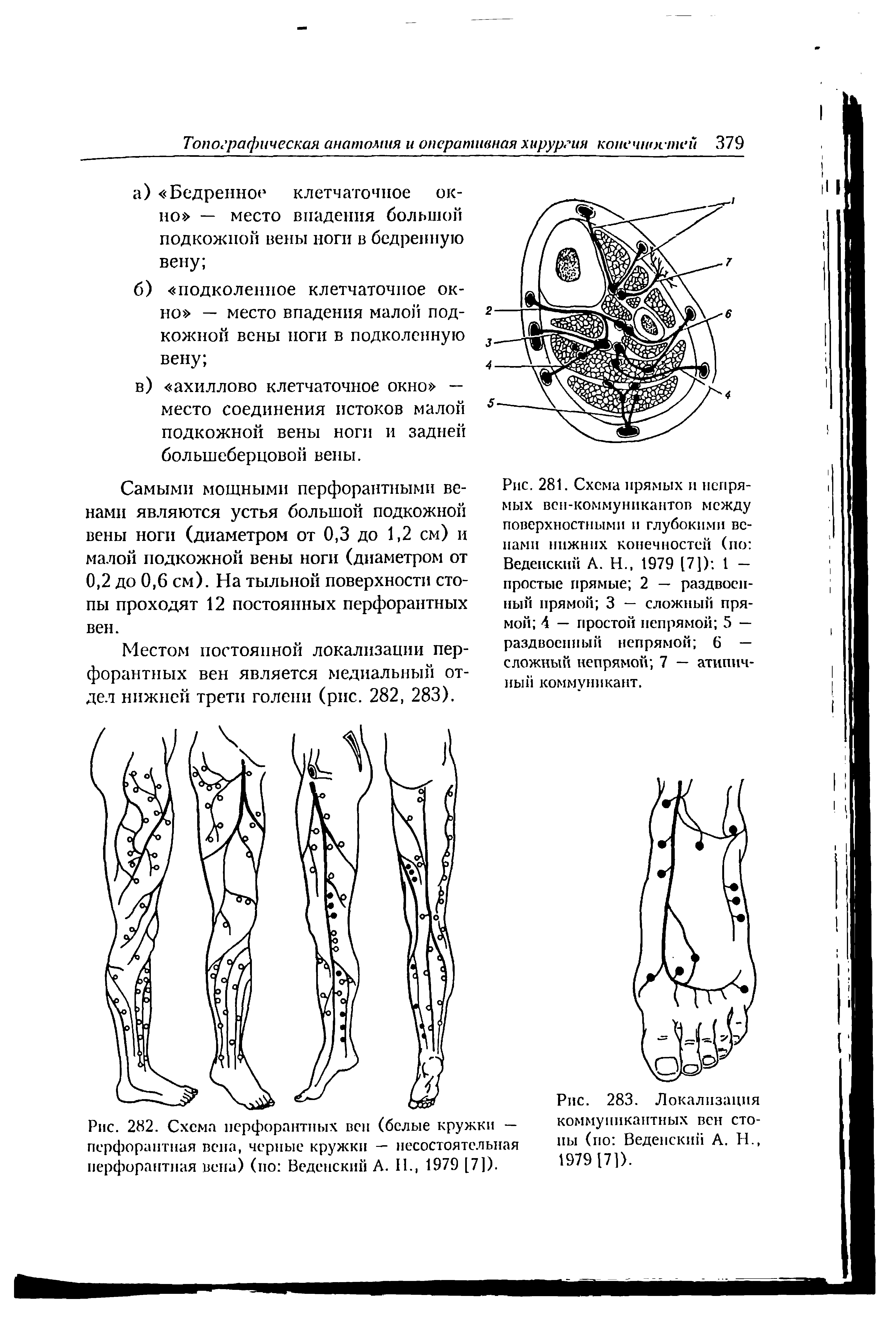 Рис. 282. Схема перфорантных вен (белые кружки — перфорантная вена, черные кружки — несостоятельная перфорантная вена) (по Веденский А. II., 1979 [7]).