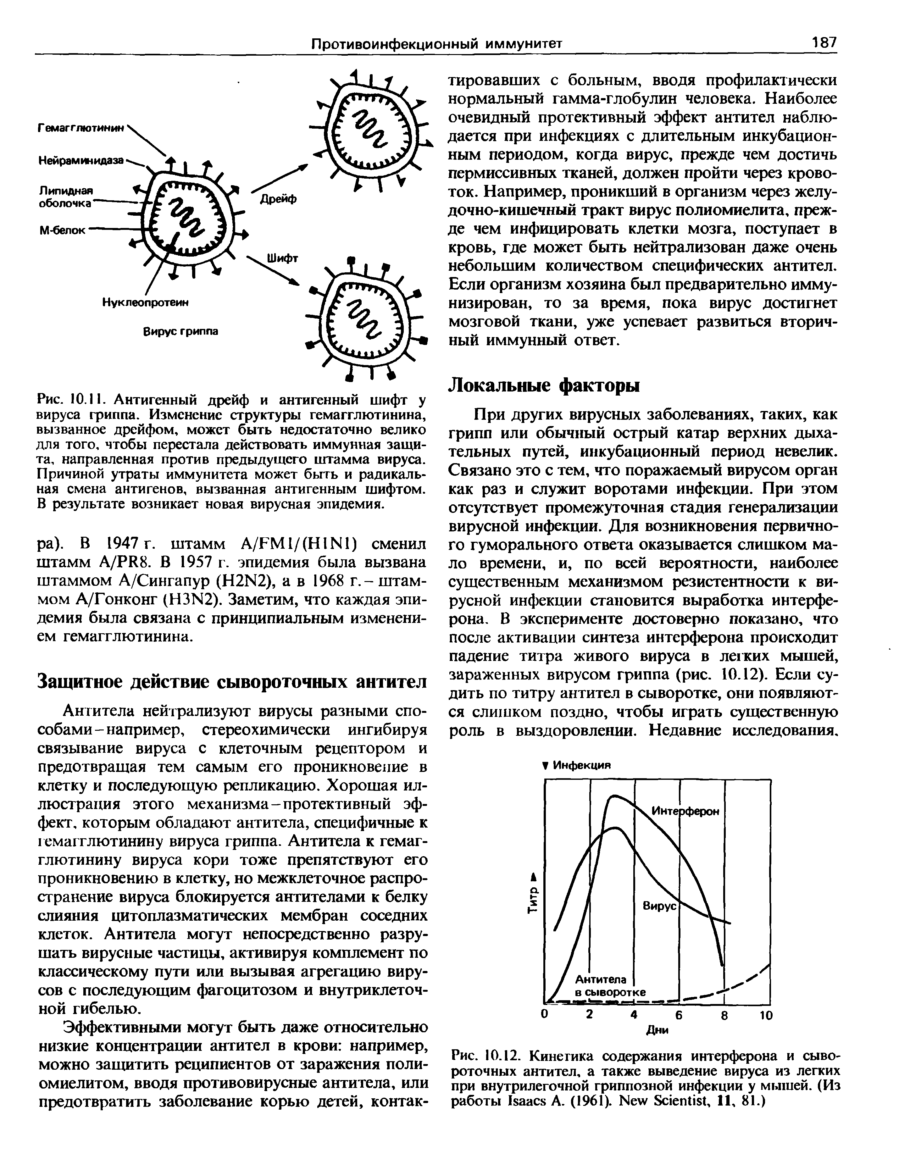 Рис. 10.12. Кинетика содержания интерферона и сывороточных антител, а также выведение вируса из легких при внутрилегочной гриппозной инфекции у мышей. (Из работы I А. (1961). N S , И, 81.)...