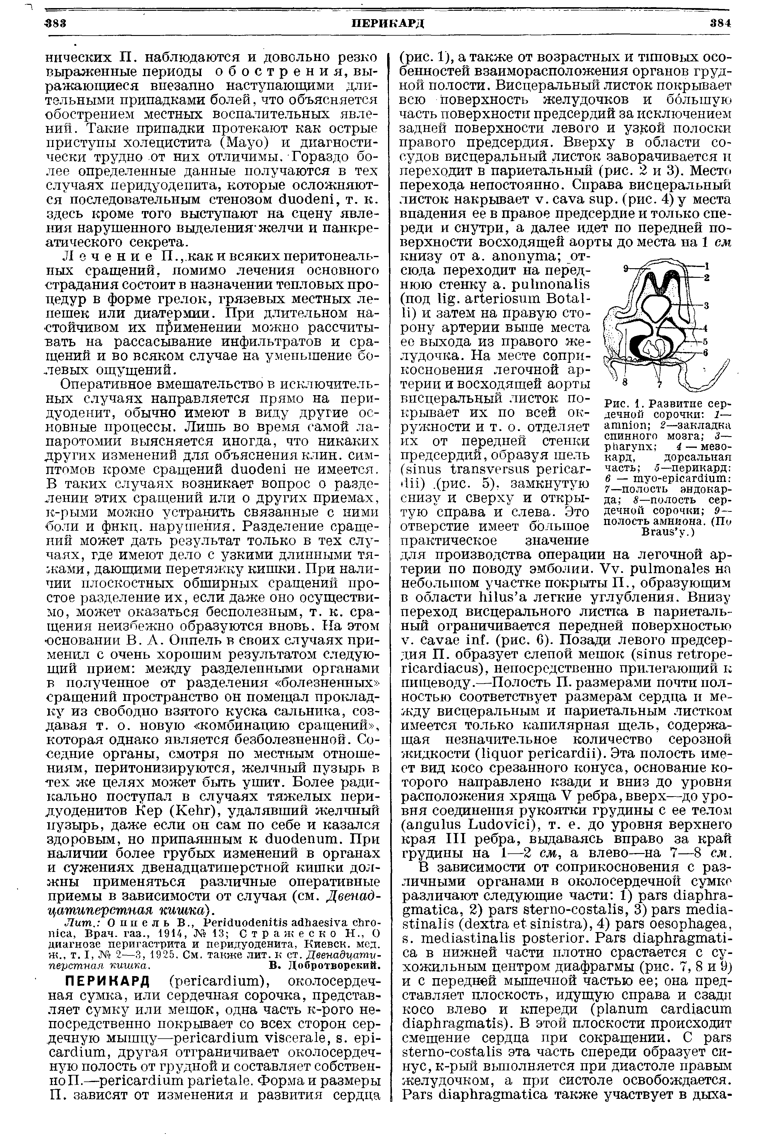 Рис. 1. Развитие сердечной сорочки 1— 2—закладка спинного мозга 3— 4 — мезокард, дорсальная часть . 5—перикард 6 — - .-7—полость эндокарда S—полость сердечной сорочки 9— полость амниона. (По...