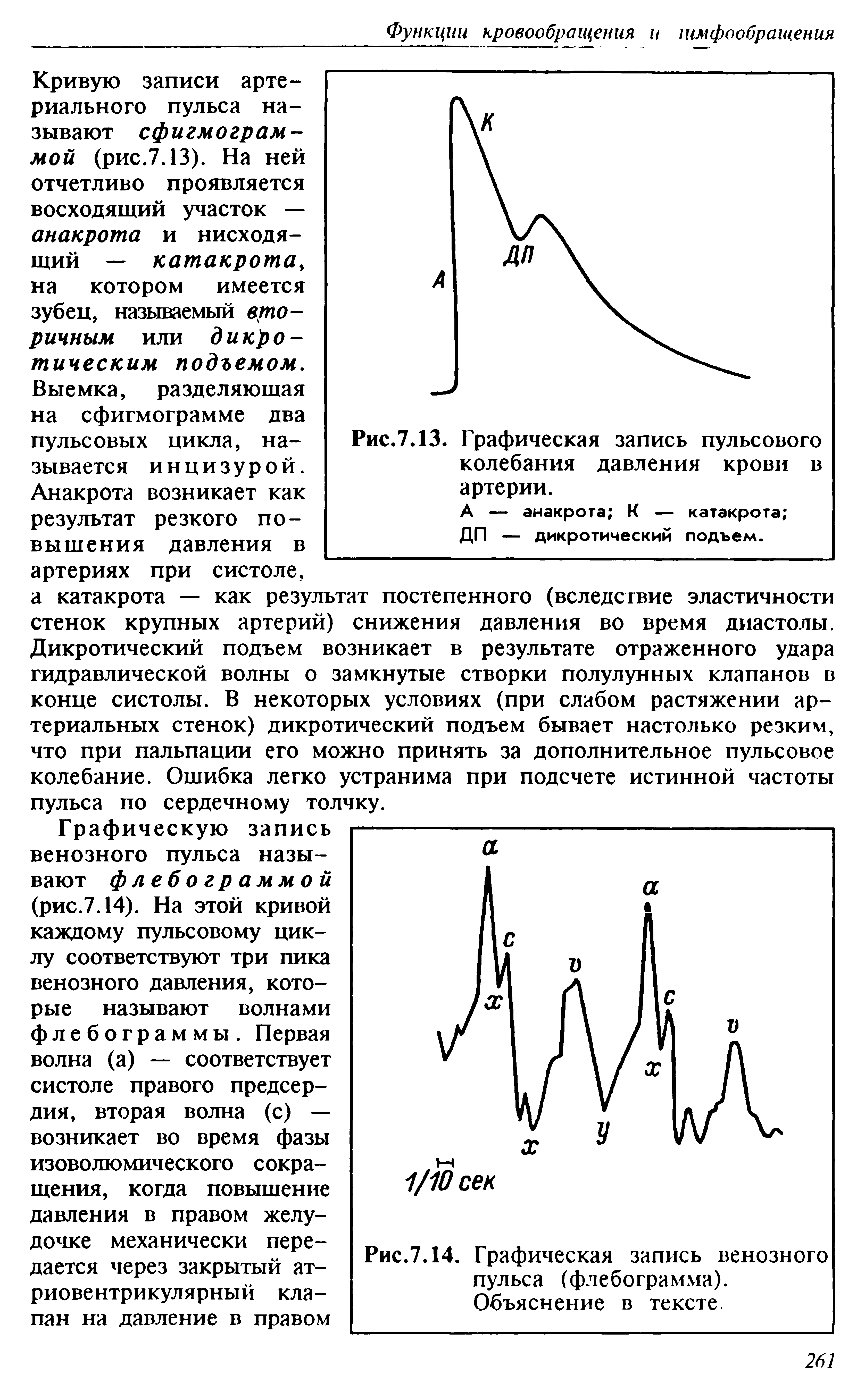 Рис.7.13. Графическая запись пульсового колебания давления крови в артерии. А — анакрота К — катакрота ДП — дикротический подъем.