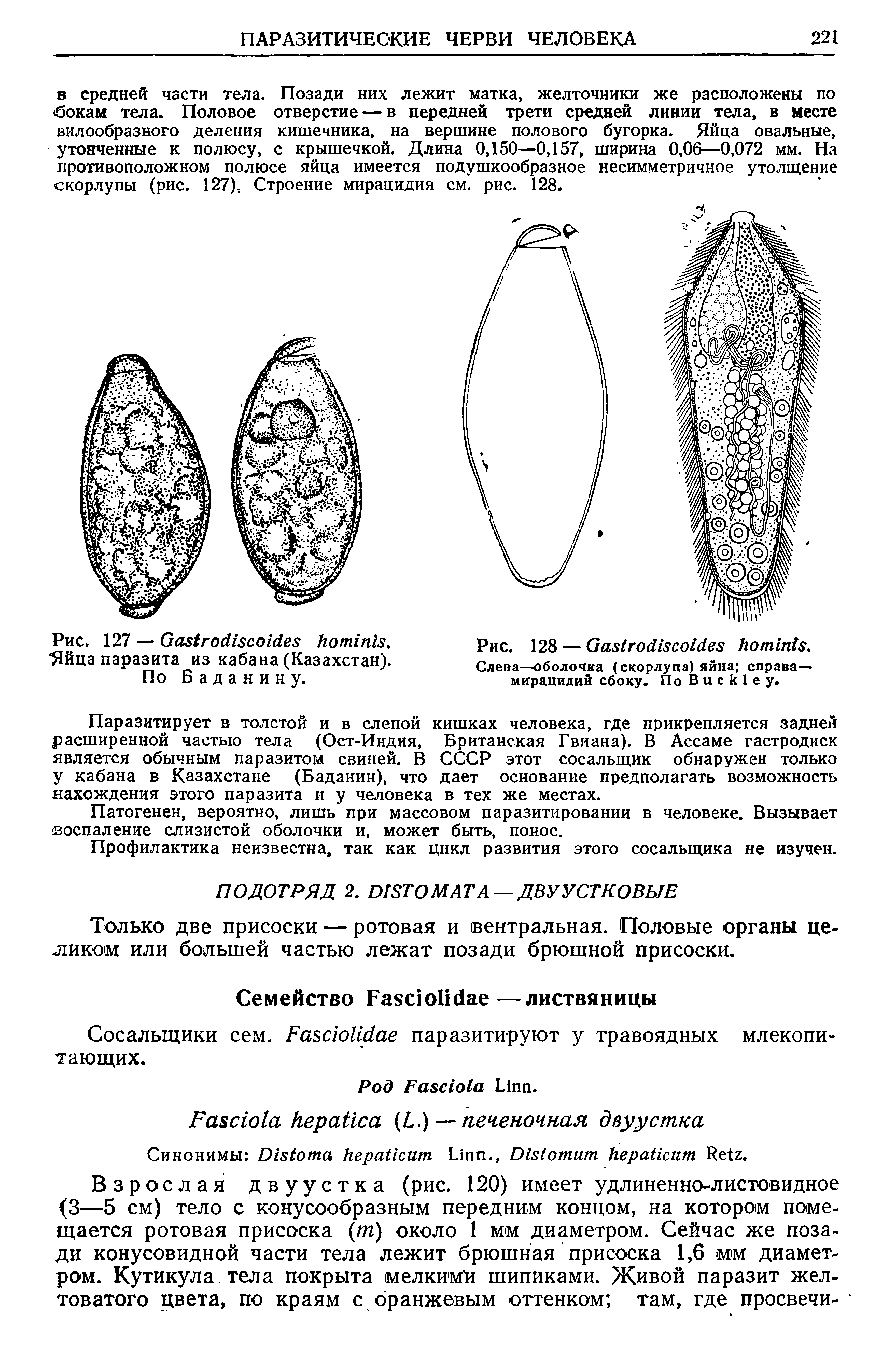 Рис. 128 — G . Слева—оболочка (скорлупа) яйца справа— мирацидий сбоку. По B .