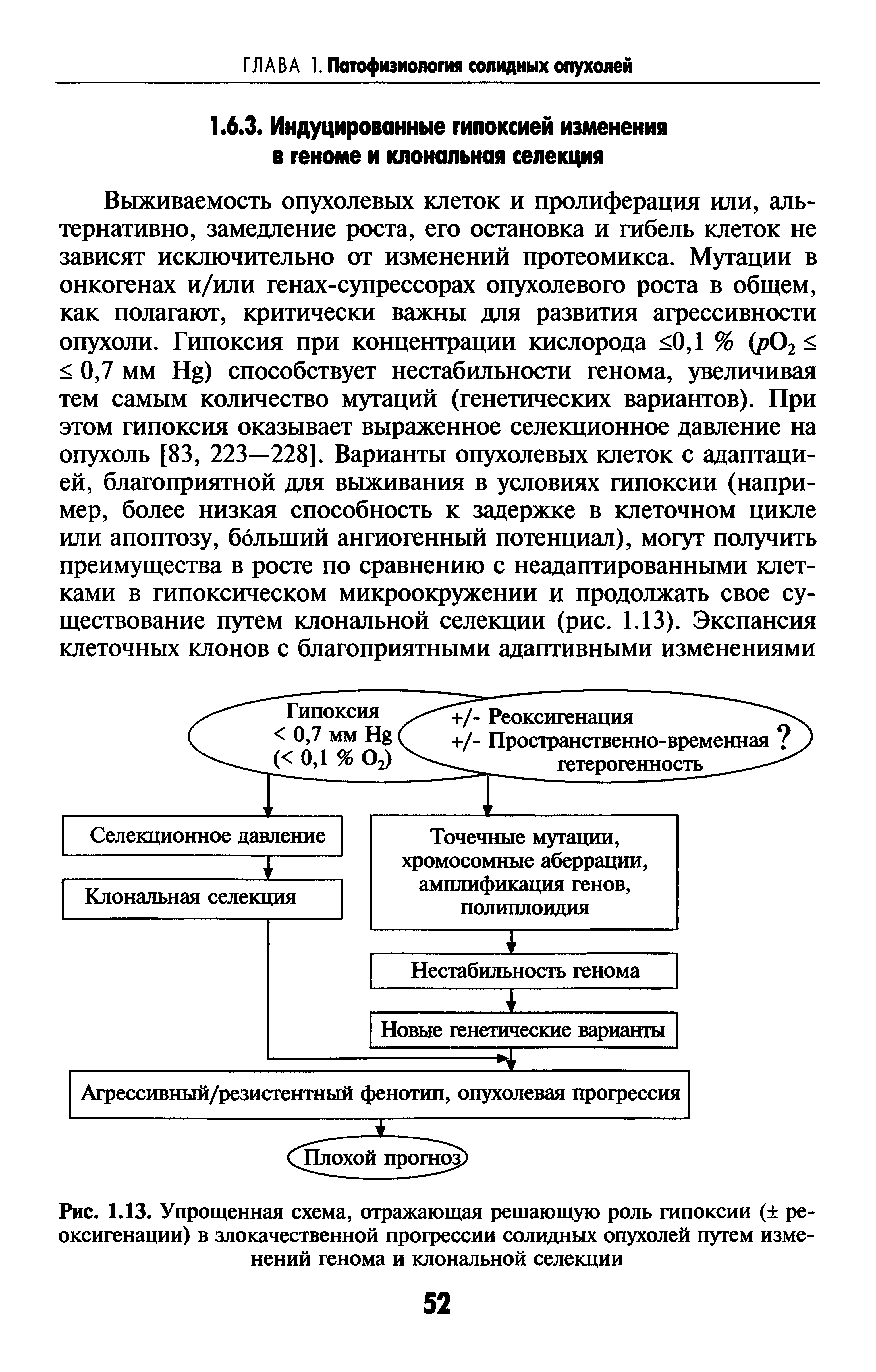 Рис. 1.13. Упрощенная схема, отражающая решающую роль гипоксии ( реоксигенации) в злокачественной прогрессии солидных опухолей путем изменений генома и клональной селекции...