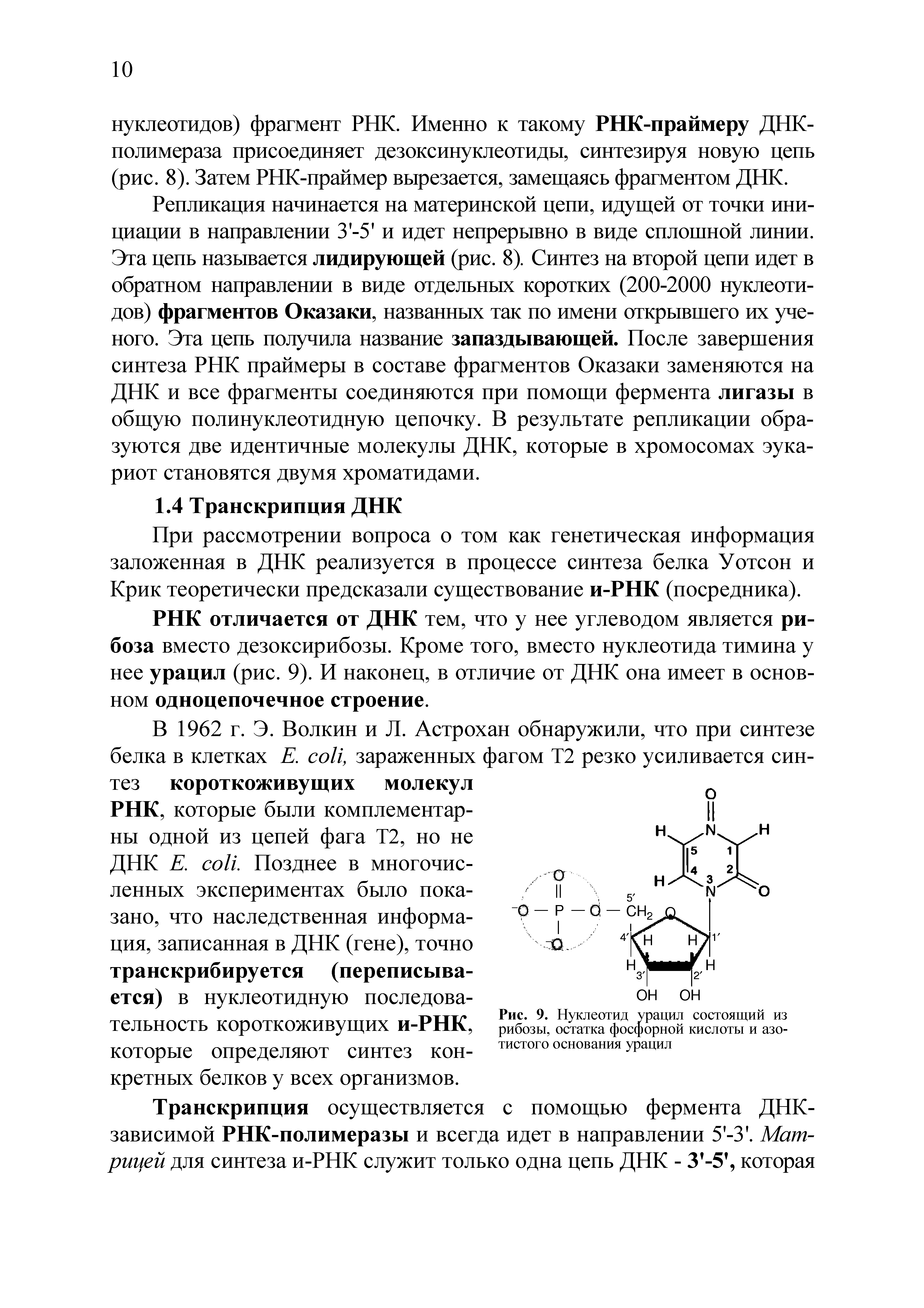 Рис. 9. Нуклеотид урацил состоящий из рибозы, остатка фосфорной кислоты и азотистого основания урацил...