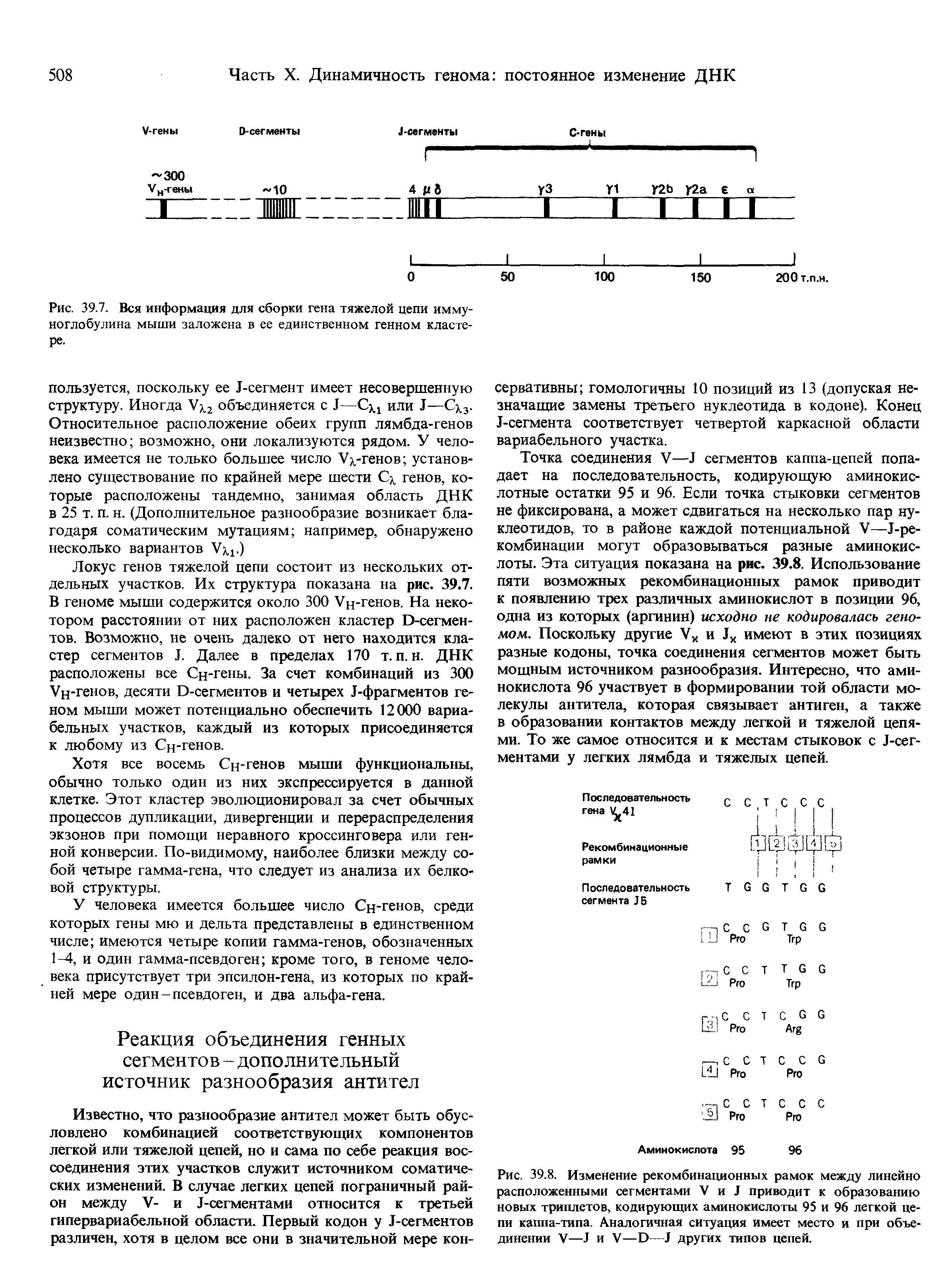Рис. 39.7. Вся информация для сборки гена тяжелой цепи имму-...