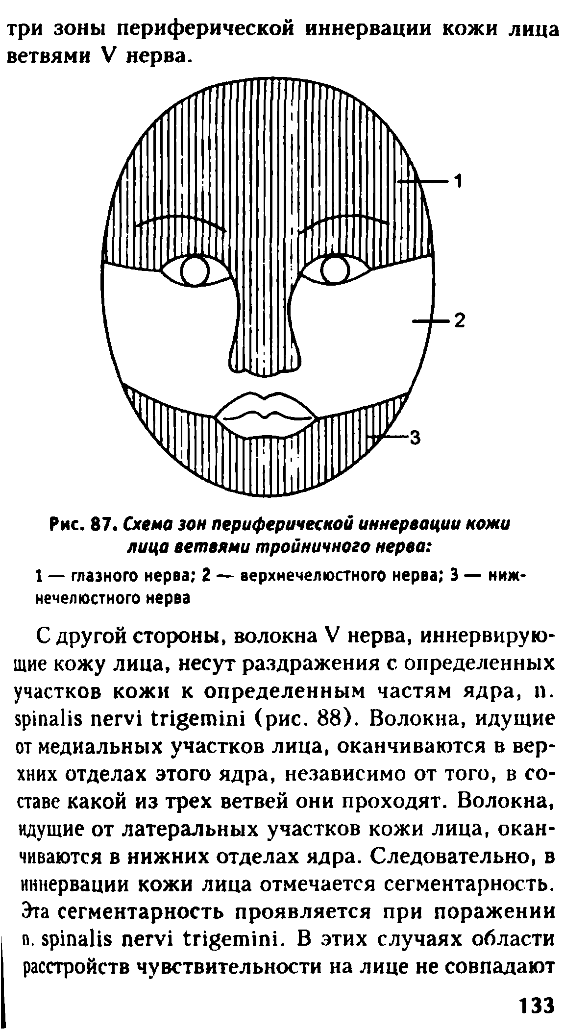 Рис. 87. Схема зон периферической иннервации кожи лица ветвями тройничного нерва ...