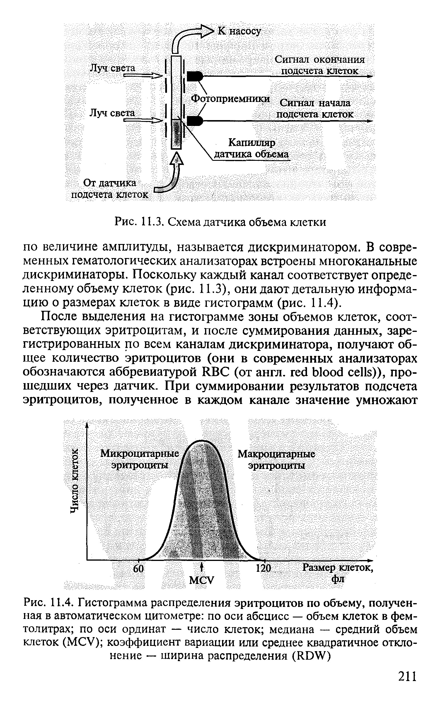 Рис. 11.4. Гистограмма распределения эритроцитов по объему, полученная в автоматическом цитометре по оси абсцисс — объем клеток в фемтолитрах по оси ординат — число клеток медиана — средний объем клеток (МСУ) коэффициент вариации или среднее квадратичное отклонение — ширина распределения (КП )...