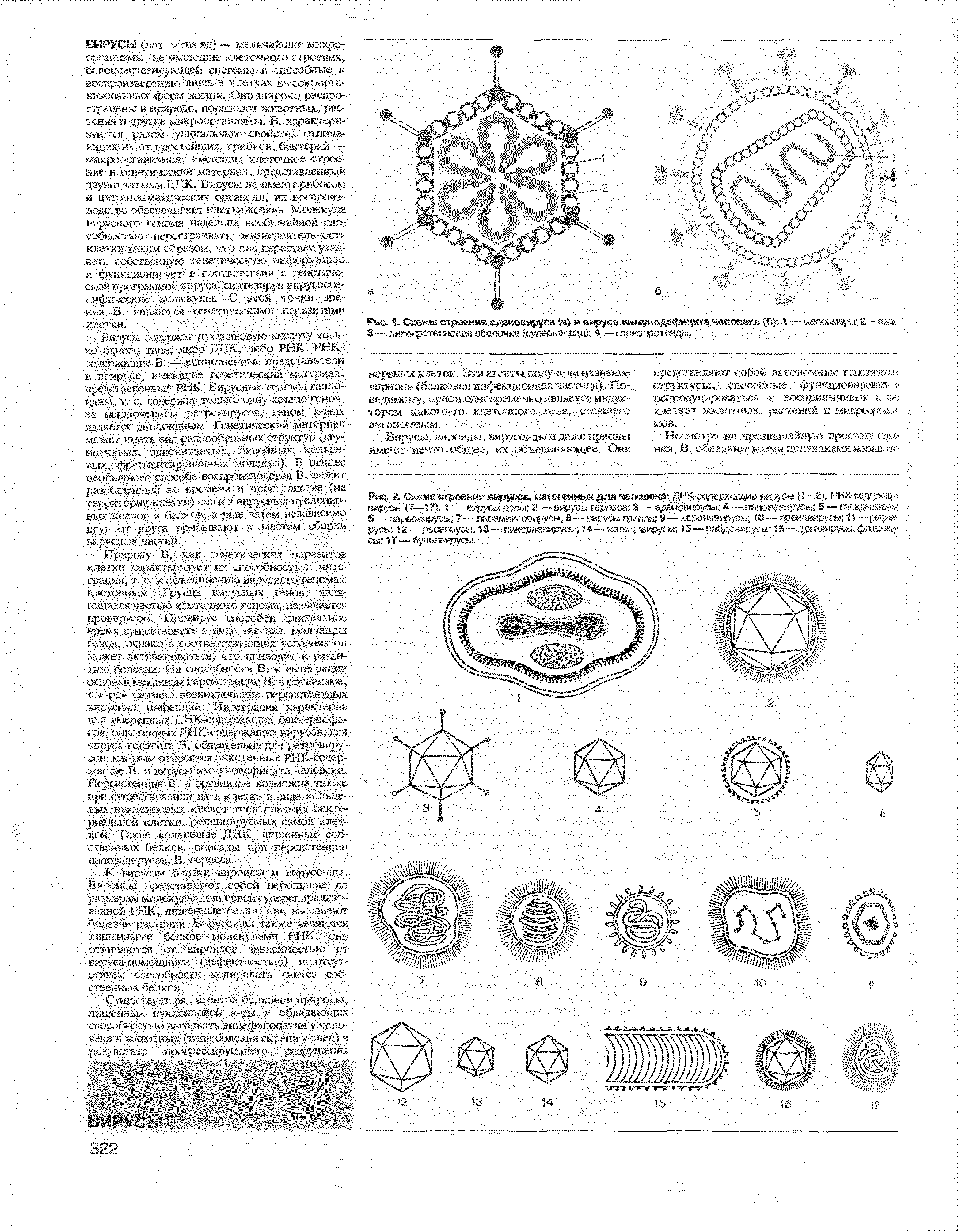 Рис. Л. Схемы строения аденовируса (в) и вируса иммунодефицита человека (6J-. T —- капсомеры-,2— , 3 — липоиротвиноввя оболочка (суперкапсид) 4 — гликопротенды.