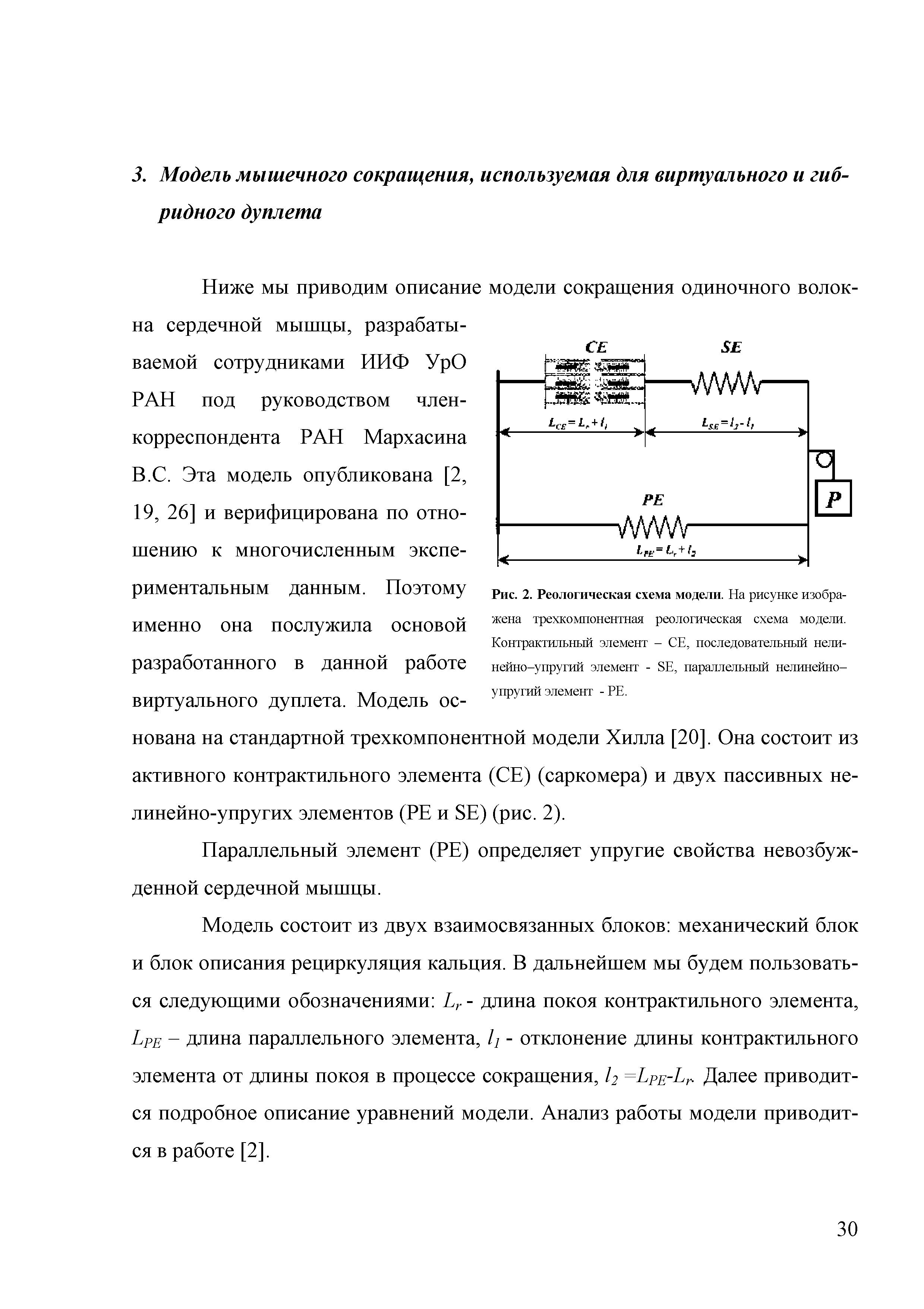 Рис. 2. Реологическая схема модели. На рисунке изображена трехкомпонентная реологическая схема модели. Контрактильный элемент - СЕ, последовательный нелинейно-упругий элемент - ЭЕ, параллельный нелинейноупругий элемент - РЕ.