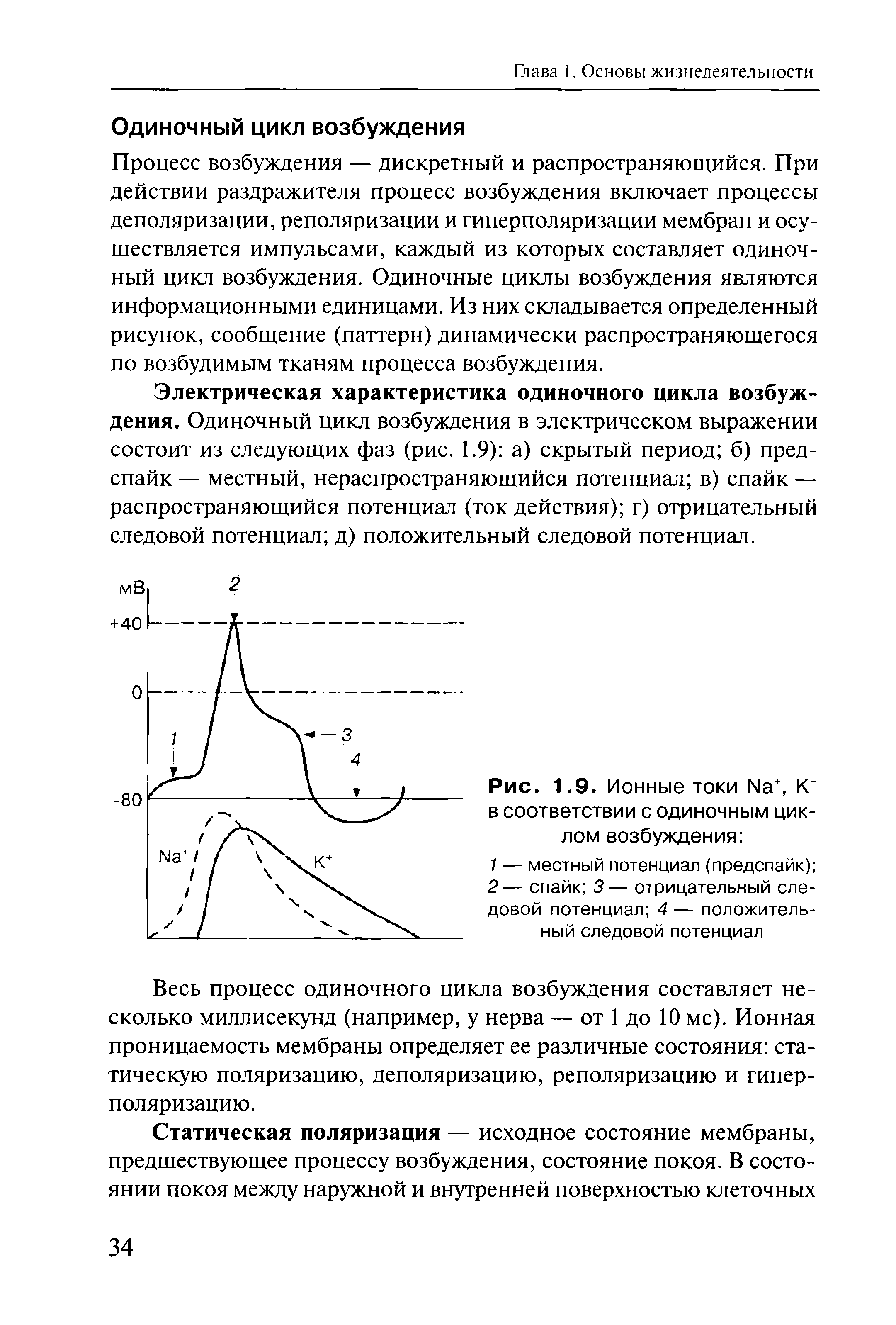 Рис. 1.9. Ионные токи №+, К в соответствии с одиночным циклом возбуждения ...