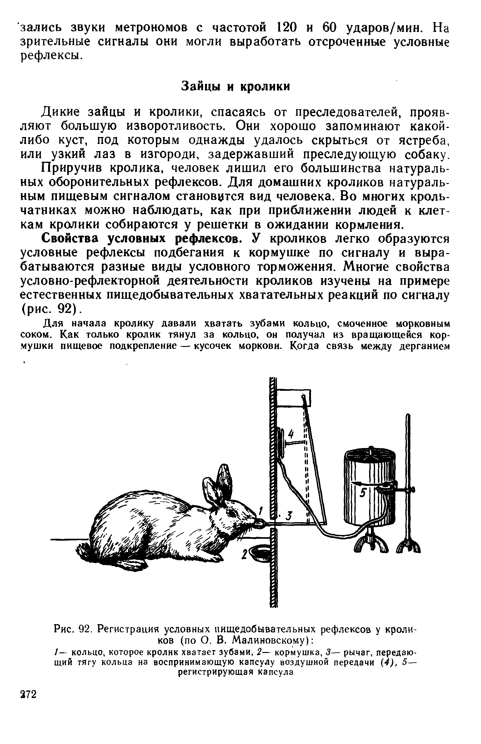 Рис. 92. Регистрация условных пищедобывательных рефлексов у кроликов (по О. В. Малиновскому) ...