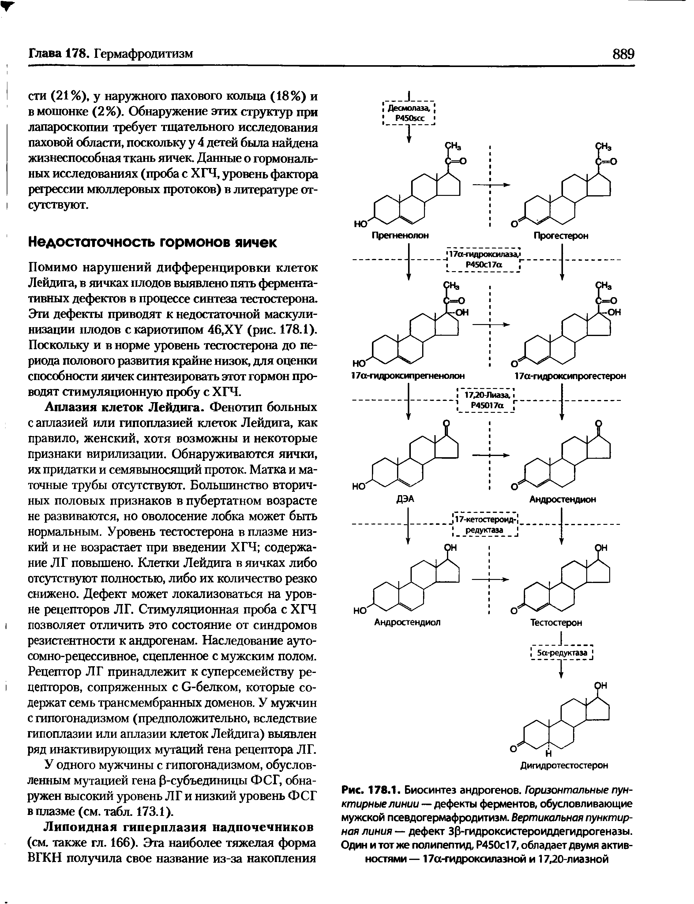 Рис. 178.1. Биосинтез андрогенов. Горизонтальные пунктирные линии — дефекты ферментов, обусловливающие мужской псевдогермафродитизм. Вертикальная пунктирная линия — дефект зр-гидроксистероиддегидрогеназы. Один и тот же полипептид, Р450с17, обладает двумя активностями— 17а-гидроксилазной и 17,20-лиазной...