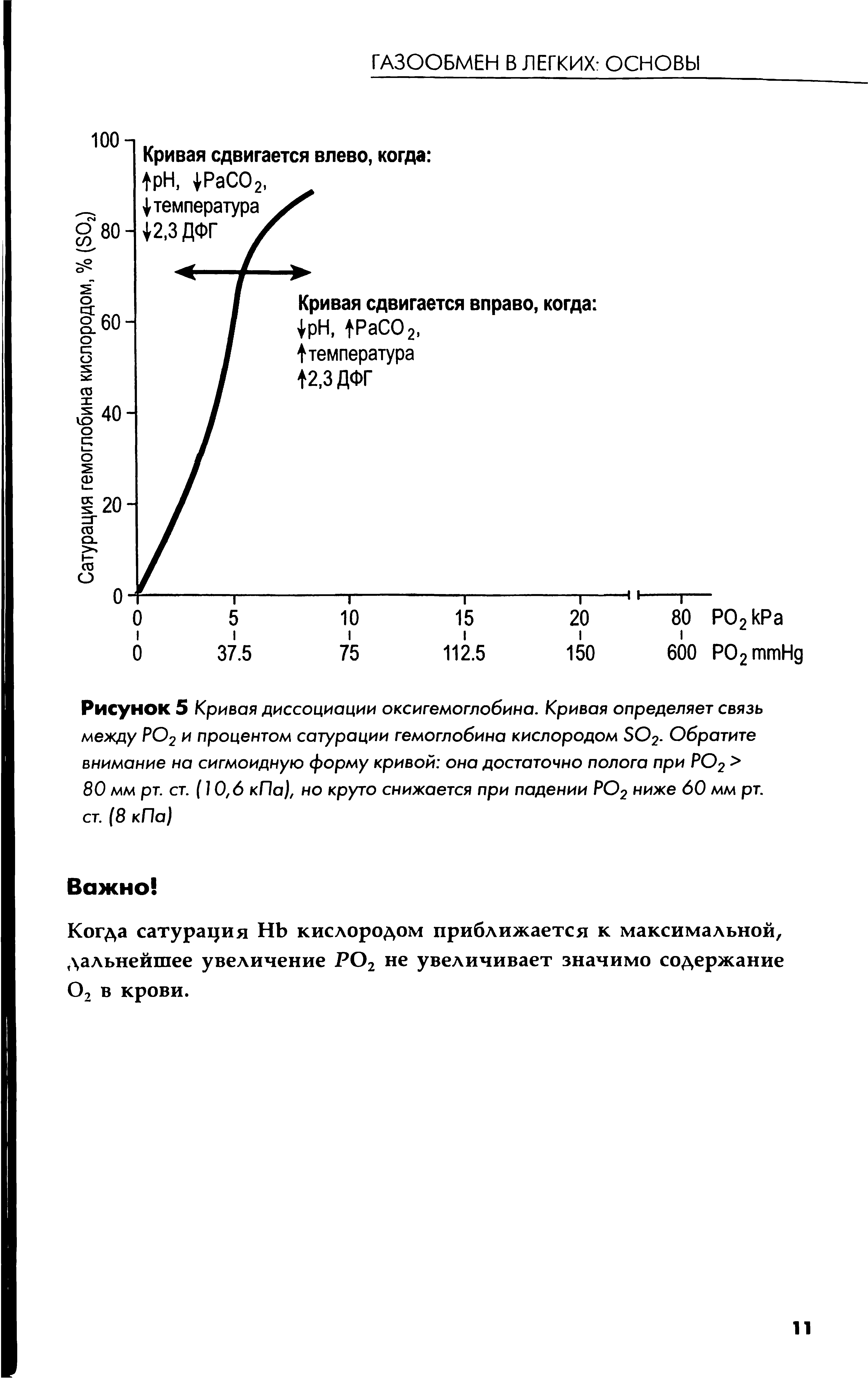 Рисунок 5 Кривая диссоциации оксигемоглобина. Кривая определяет связь между РО2 и процентом сатурации гемоглобина кислородом О2. Обратите внимание на сигмоидную форму кривой она достаточно полога при РО2 > 80 мм рт. ст. (10,6 кПа), но круто снижается при падении РО2 ниже 60 мм рт. ст. (8 кПа)...