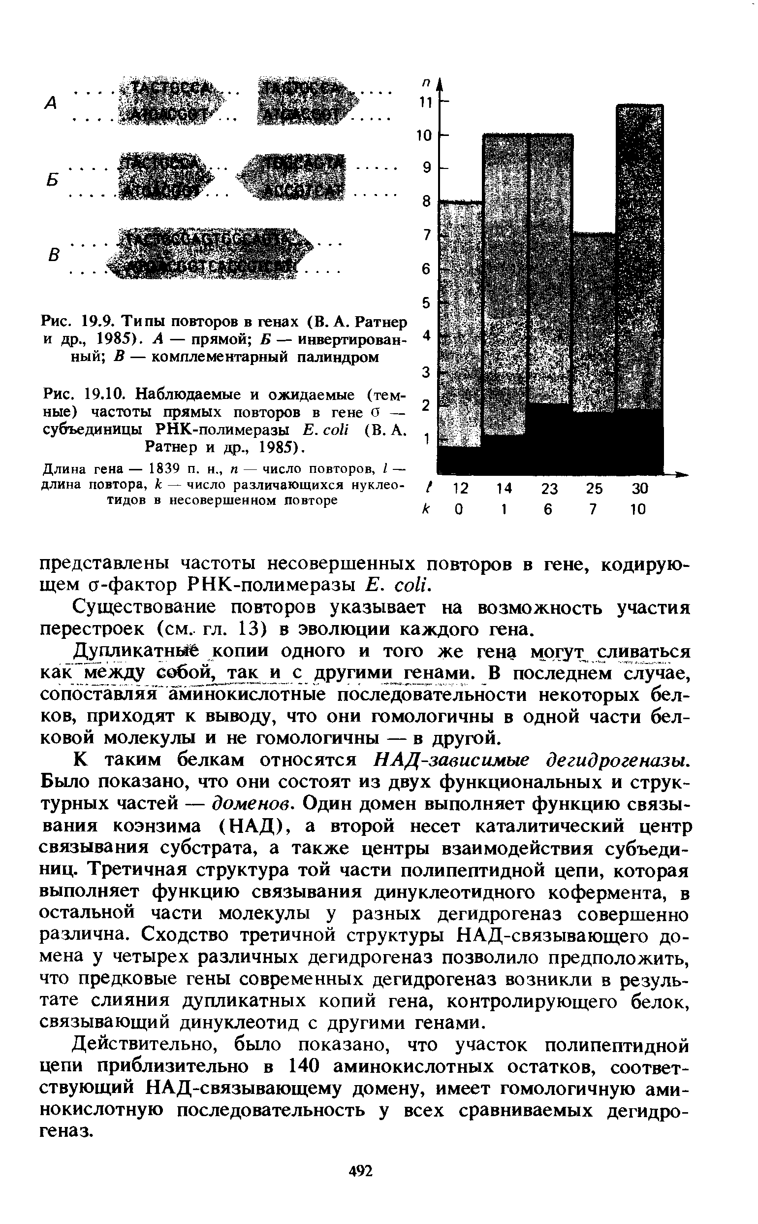 Рис. 19.10. Наблюдаемые и ожидаемые (темные) частоты прямых повторов в гене О — субъединицы PHK-полимеразы Е. (В. А.