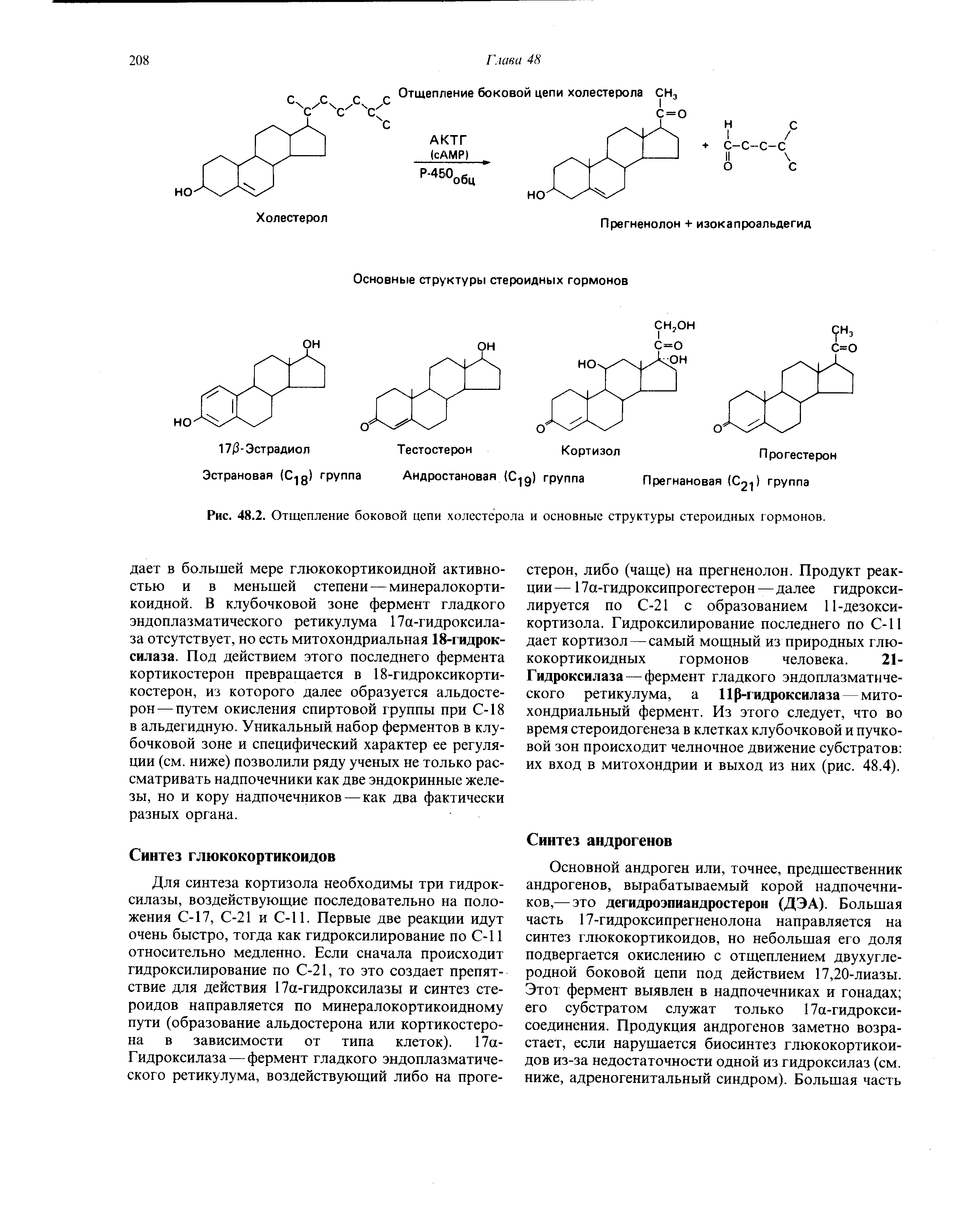Рис. 48.2. Отщепление боковой цепи холестерола и основные структуры стероидных гормонов.