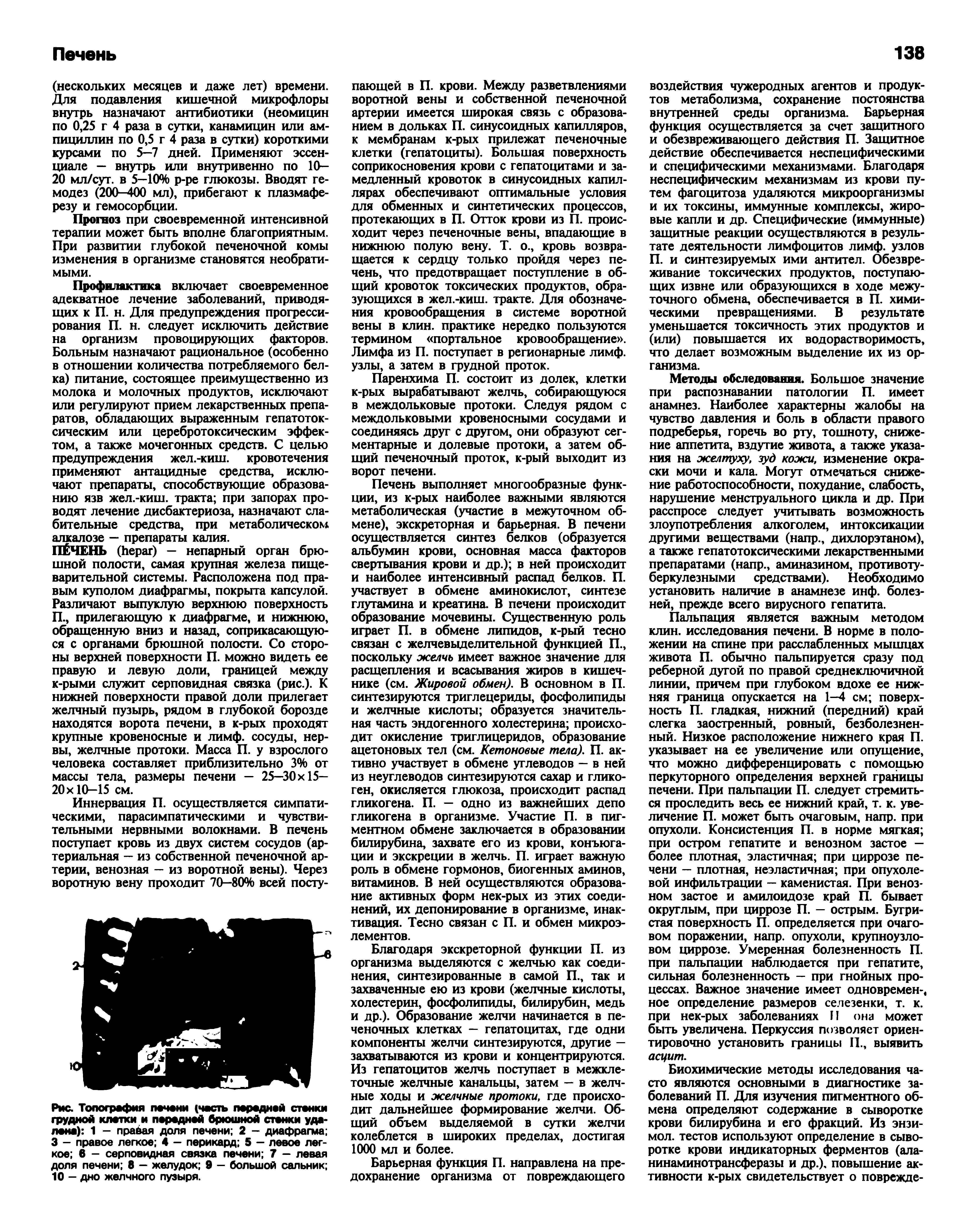 Рис. Топография лачоми (часть параднай станки грудной клетки и парадней брюшной станки удалена) 1 - правая доля печени 2 - диафрагма 3 - правое легкое 4 - перикард 5 - левое легкое в - серповидная связка печени 7 — левая доля печени 8 — желудок 9 - большой сальник 10 — дно желчного пузыря.