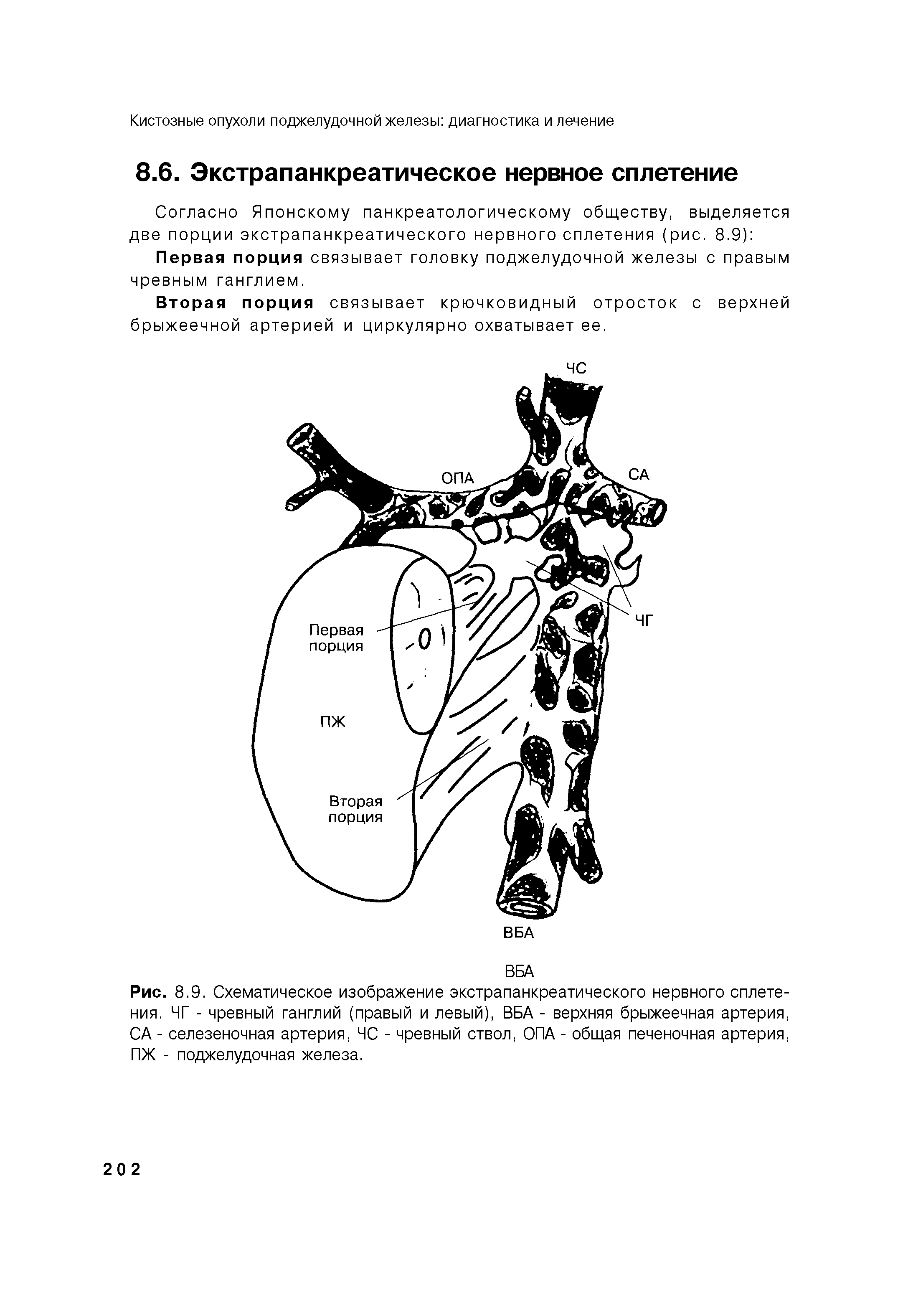 Рис. 8.9. Схематическое изображение экстрапанкреатического нервного сплетения. ЧГ - чревный ганглий (правый и левый), ВБА - верхняя брыжеечная артерия, СА - селезеночная артерия, ЧС - чревный ствол, ОПА - общая печеночная артерия, ПЖ - поджелудочная железа.