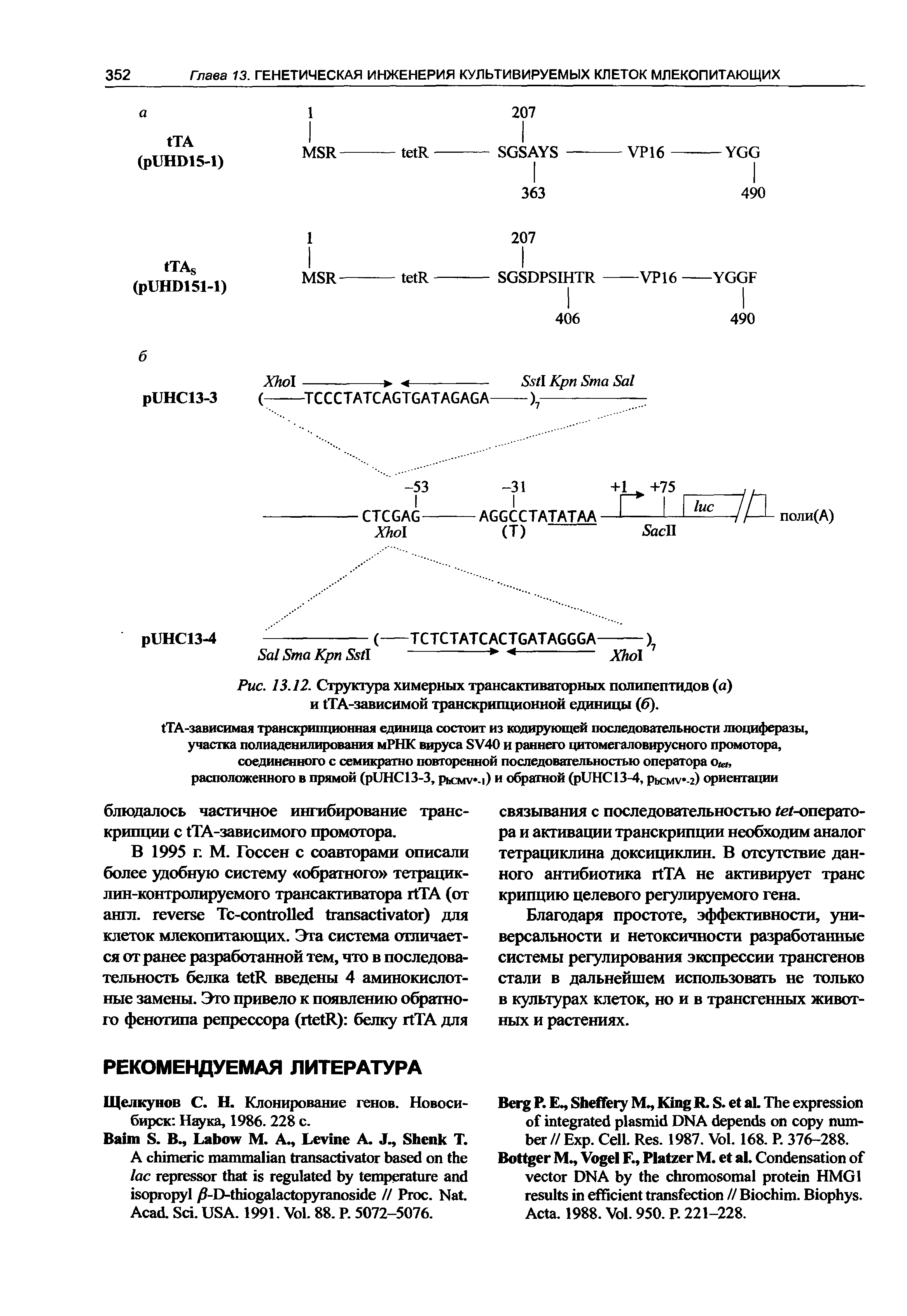 Рис. 13.12. Структура химерных трансактиваторных полипептидов (а) и TA-зависимой транскрипционной единицы (6).