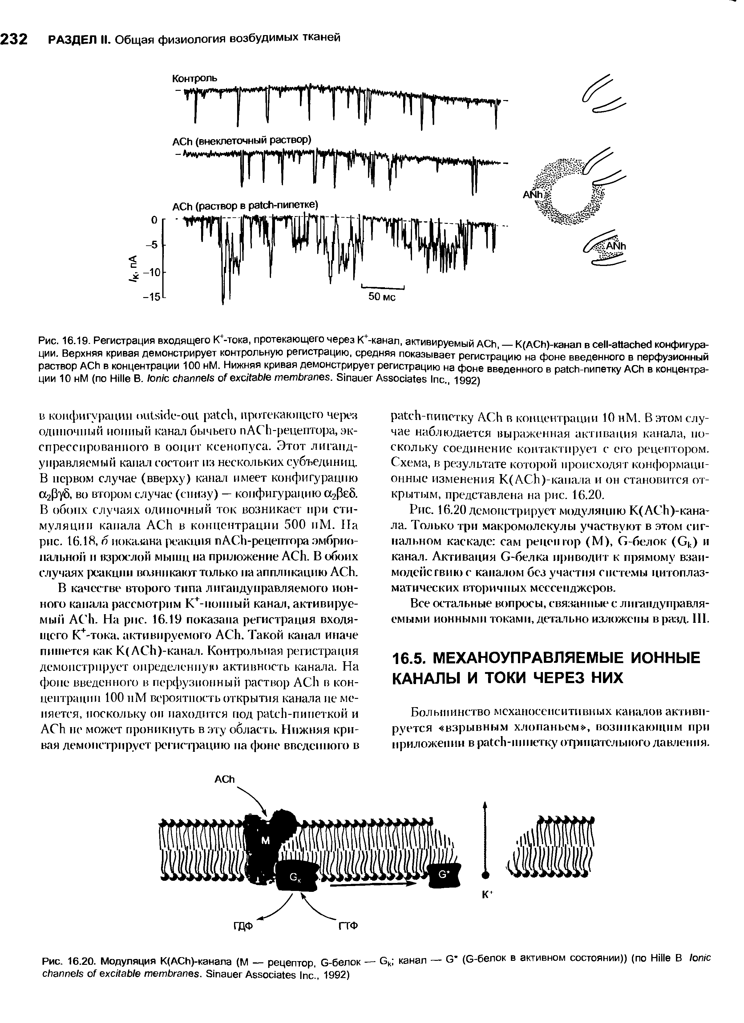 Рис. 16.20. Модуляция К(АСЬ)-канала (М — рецептор, G-белок — G канал — G (G-белок в активном состоянии)) (по H В I . S A I ., 1992)...