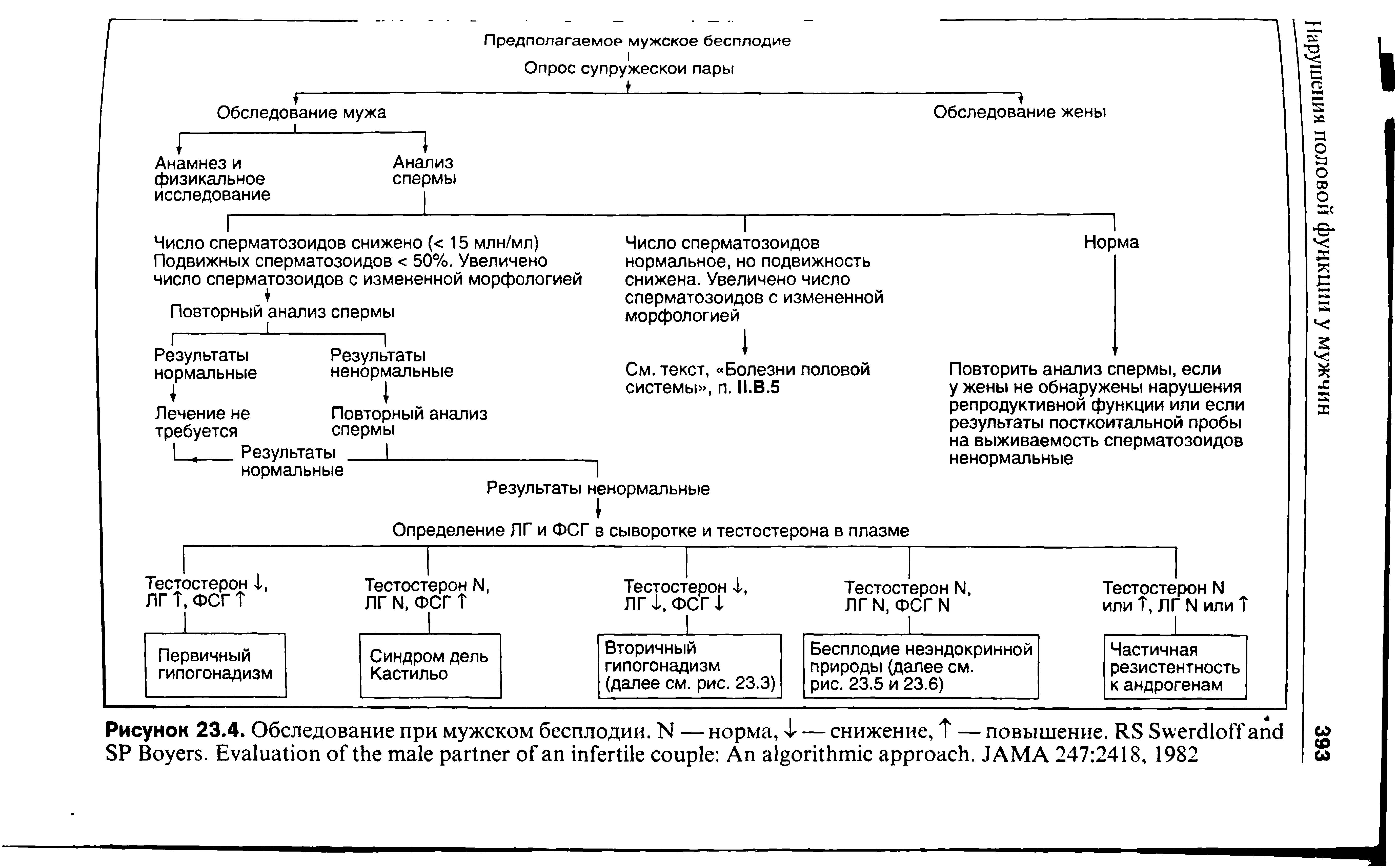 Рисунок 23.4. Обследование при мужском бесплодии. N — норма, Ф — снижение, Т — повышение. RS S ...