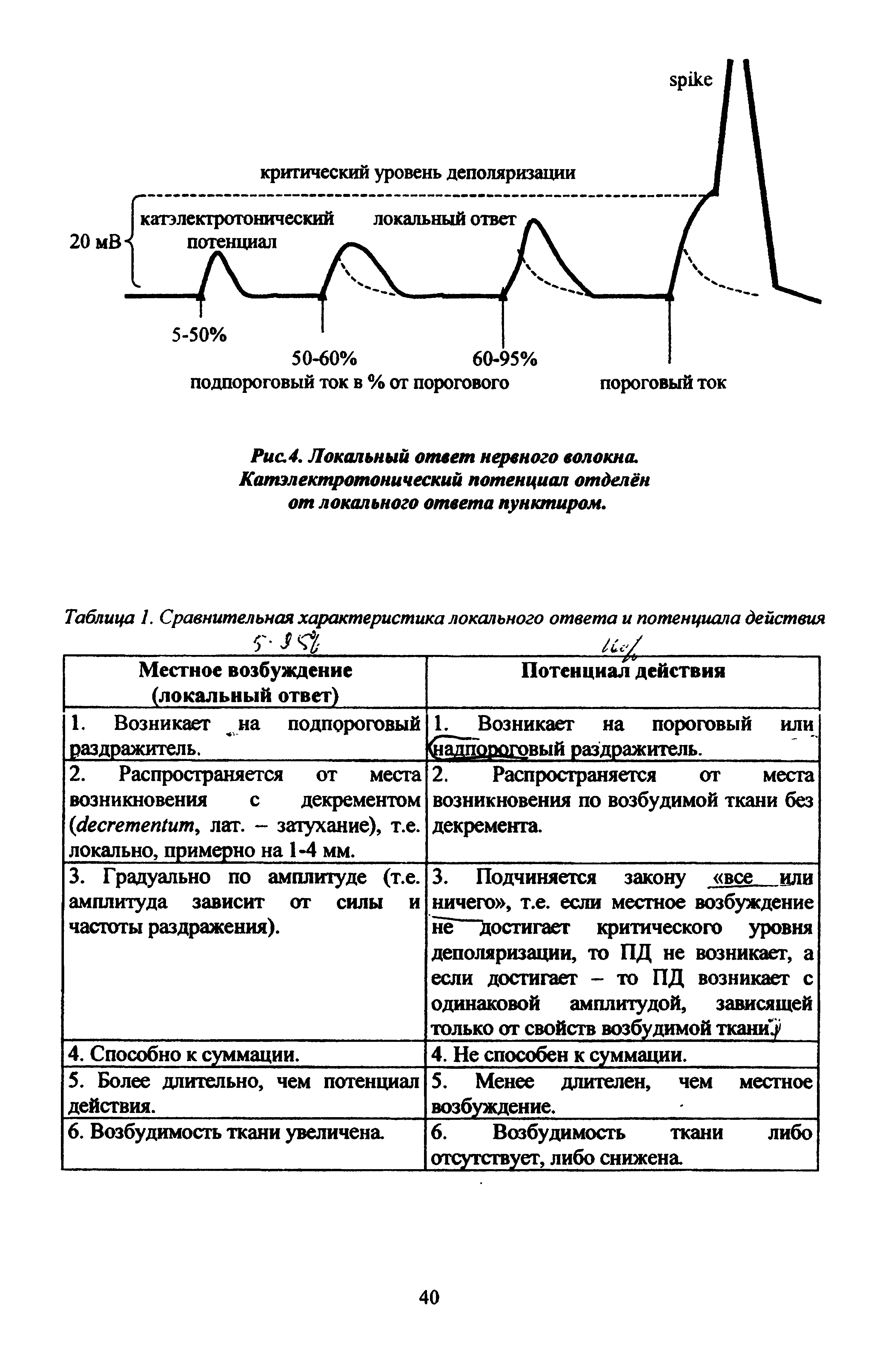 Таблица 1. Сравнительная характеристика локального ответа и потенциала действия...