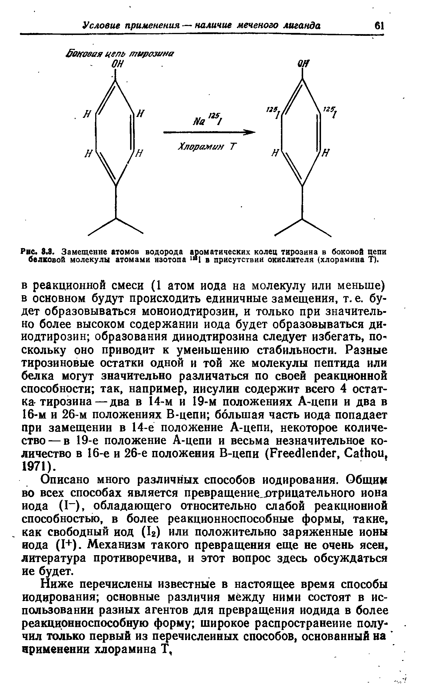 Рис. 8.8. Замещение атомов водорода ароматических колец тирозина в боковой цепи белковой молекулы атомами изотопа "1 в присутствии окислителя (хлорамина Т).