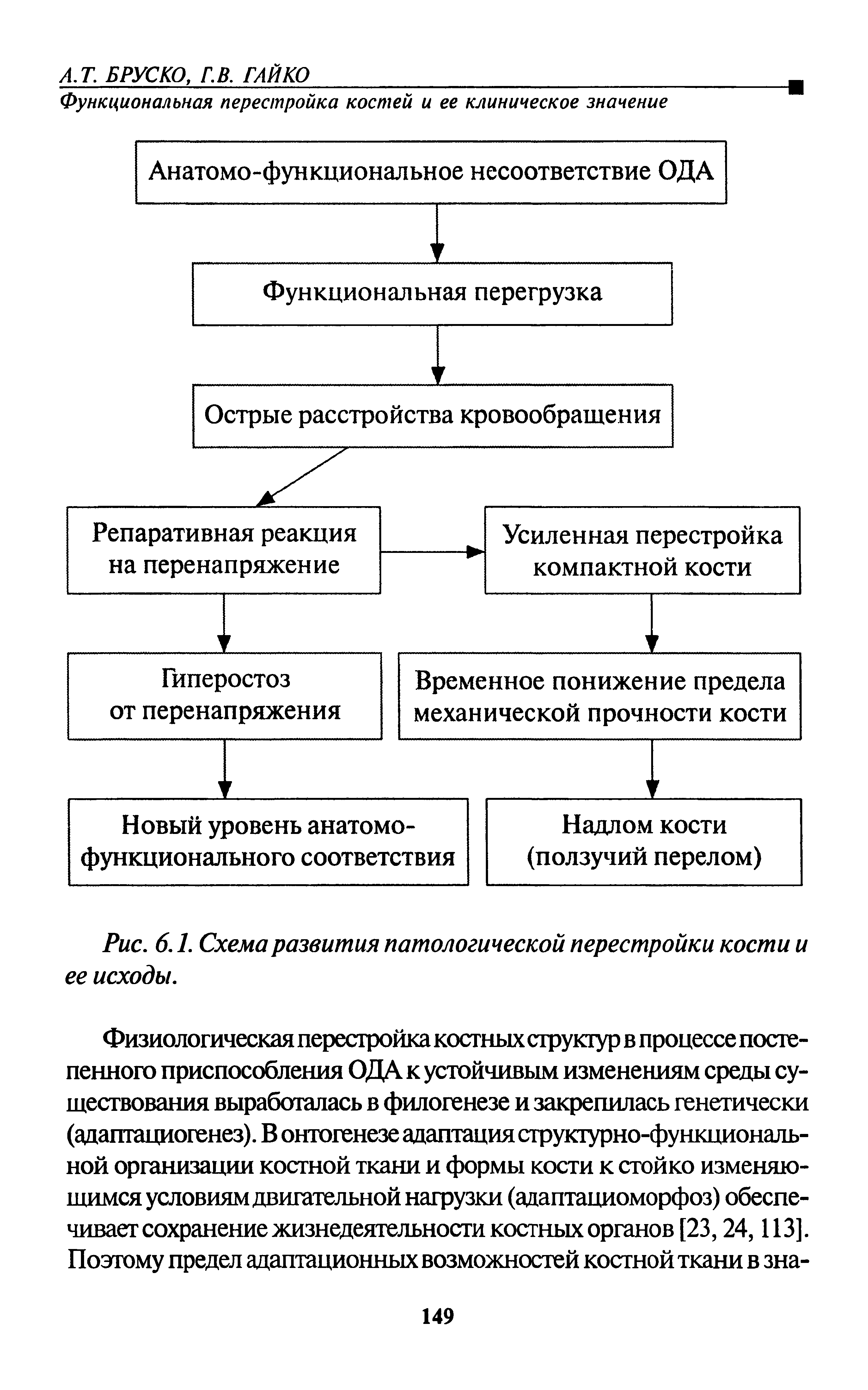 Рис. 6.1. Схема развития патологической перестройки кости и ее исходы.