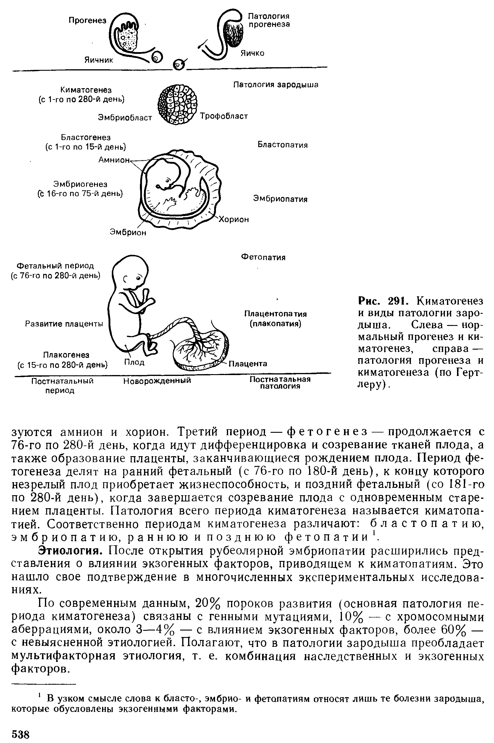 Рис. 291. Киматогенез и виды патологии зародыша. Слева — нормальный прогенез и киматогенез, справа — патология прогенеза и киматогенеза (по Герт-леру).