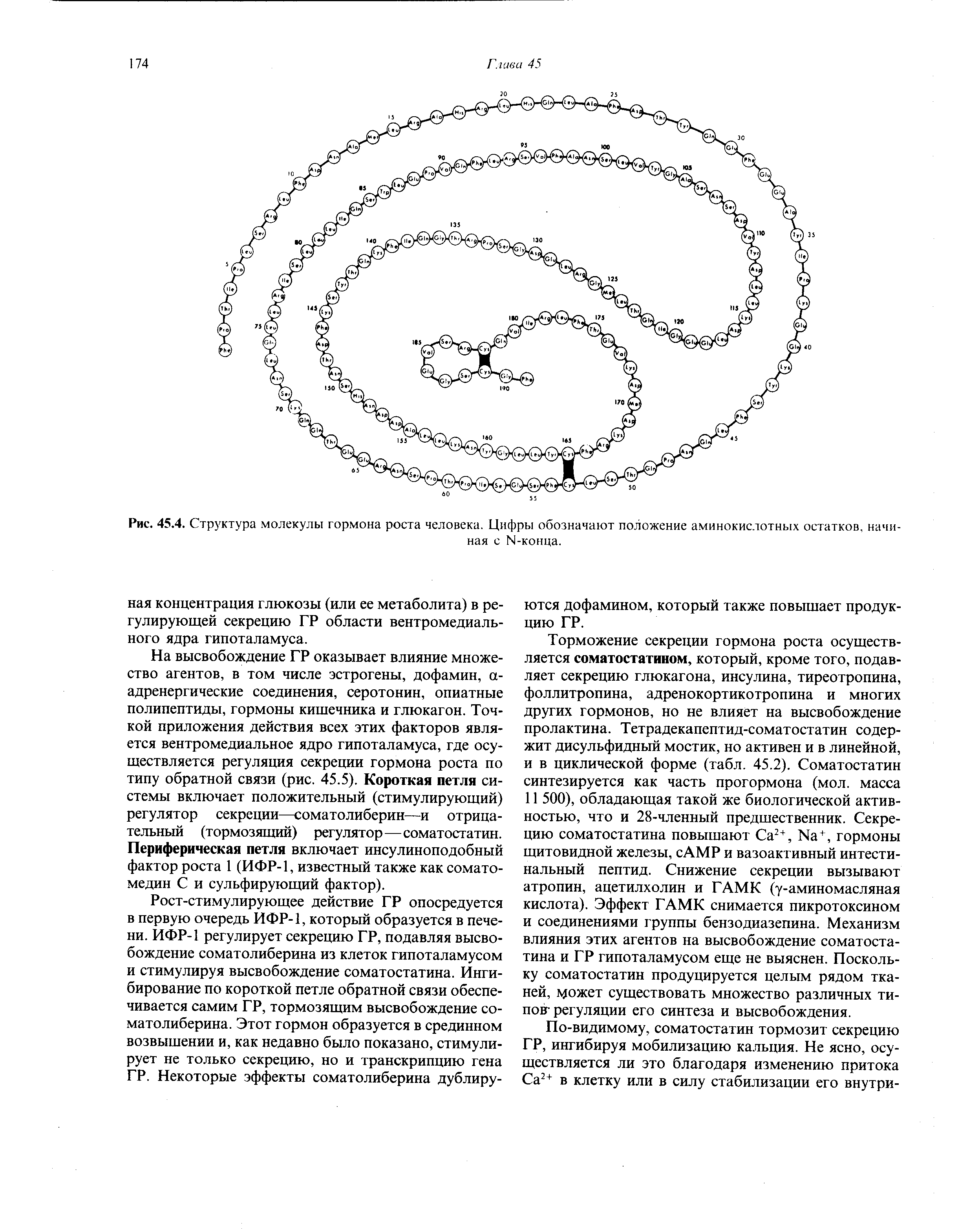 Рис. 45.4. Структура молекулы гормона роста человека. Цифры обозначают положение аминокислотных остатков, начиная с М-конца.