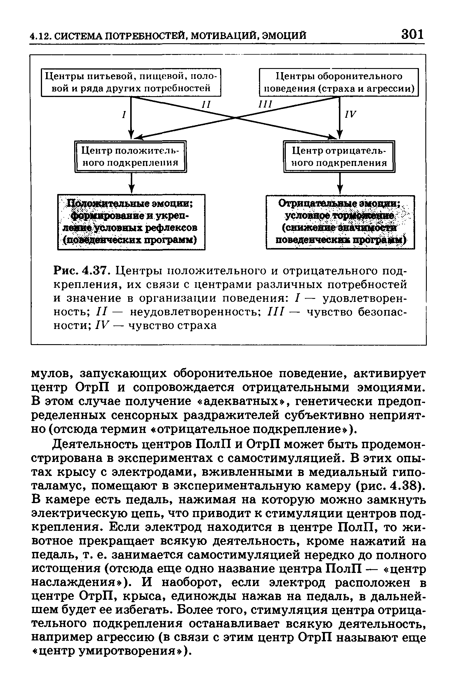 Рис. 4.37. Центры положительного и отрицательного подкрепления, их связи с центрами различных потребностей и значение в организации поведения I — удовлетворенность II — неудовлетворенность III — чувство безопасности IV — чувство страха...