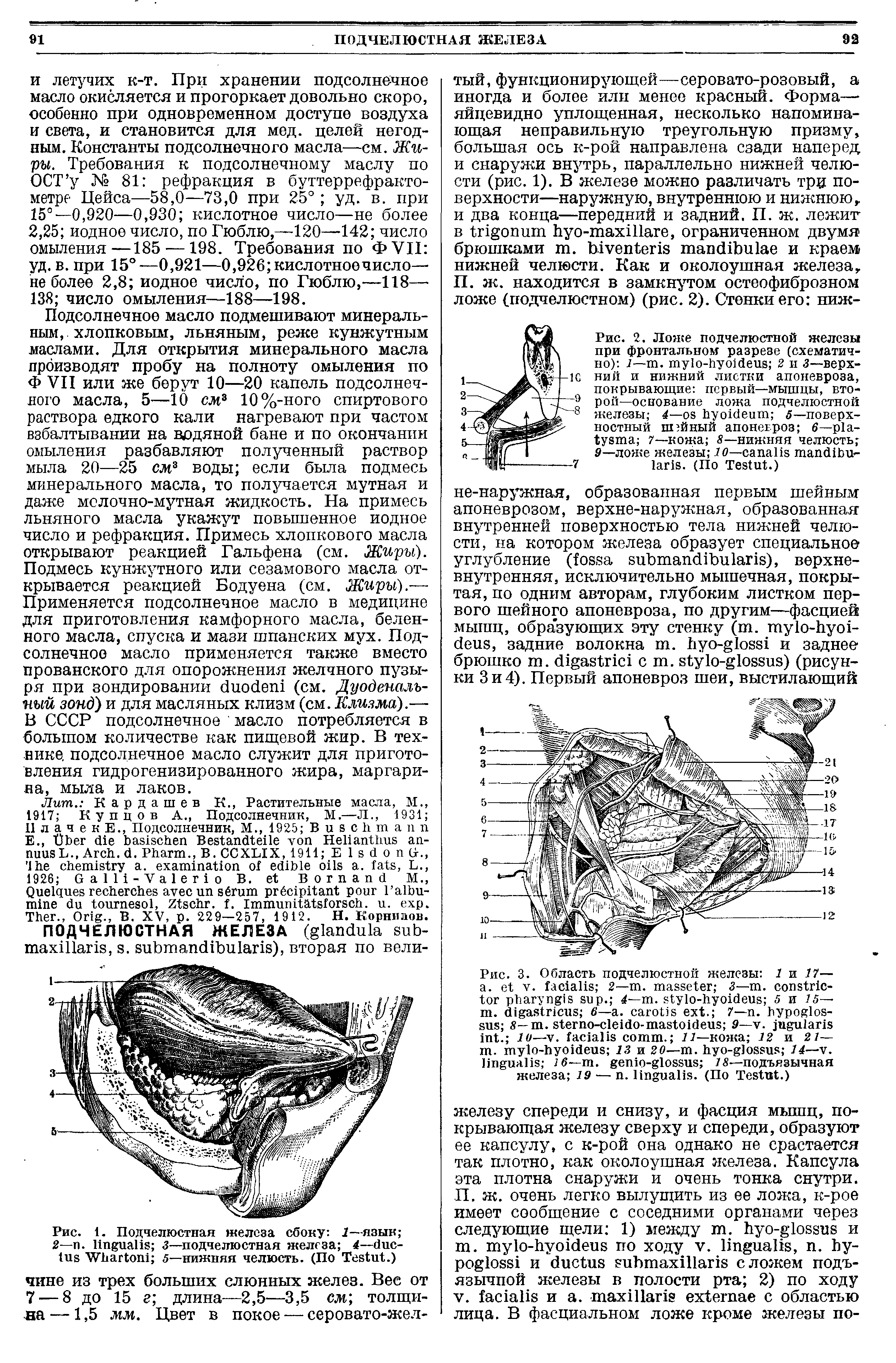 Рис. 2. Ложе подчелюстной железы при фронтальном разрезе (схематично) 1— . - 2 и —верхний и нижний листки апоневроза, покрывающие первый—мышцы, второй—основание ложа подчелюстной железы 4— 5— поверхностный ш йный апоневроз 6— 7—кожа 8— нижняя челюсть 9—лонге железы 10— - . (По T .)...