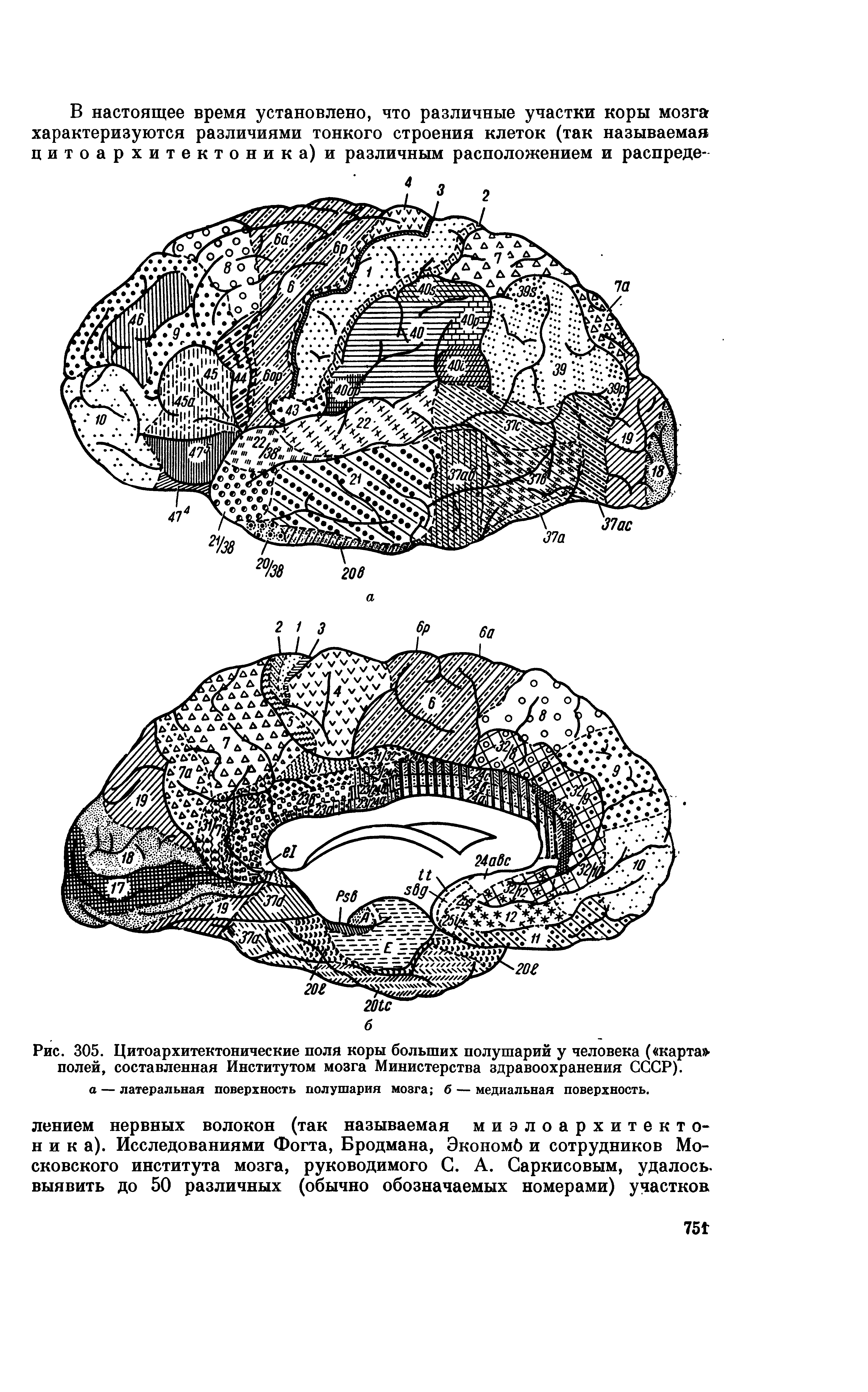 Рис. 305. Цитоархитектонические поля коры больших полушарий у человека ( карта полей, составленная Институтом мозга Министерства здравоохранения СССР).