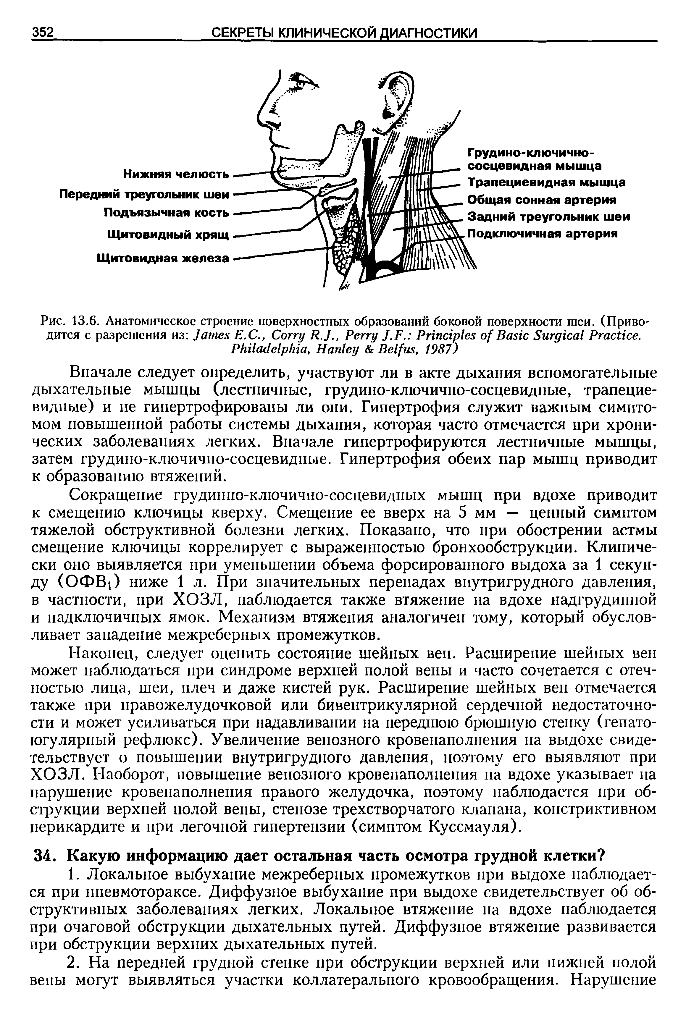 Рис. 13,6. Анатомическое строение поверхностных образований боковой поверхности шеи. (Приводится с разрешения из J Е.С., C R.J., P J.F. P B S P , P , H B , 1987)...