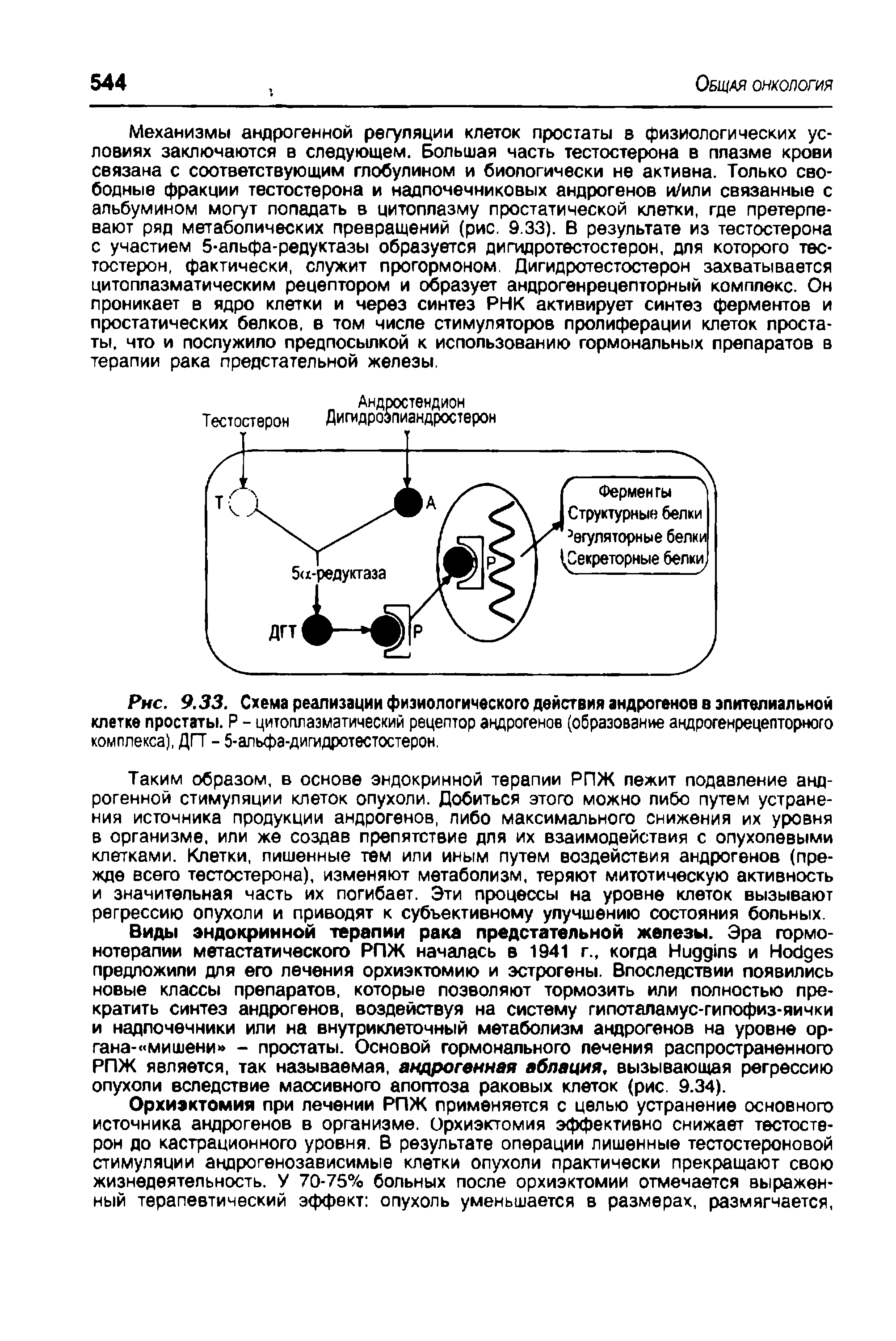 Рис. 9.33. Схема реализации физиологического действия андрогенов в эпителиальной клетке простаты. Р - цитоплазматический рецептор андрогенов (образование андрогенрецепторного комплекса), ДГТ - 5-альфа-дигидротестостерон.