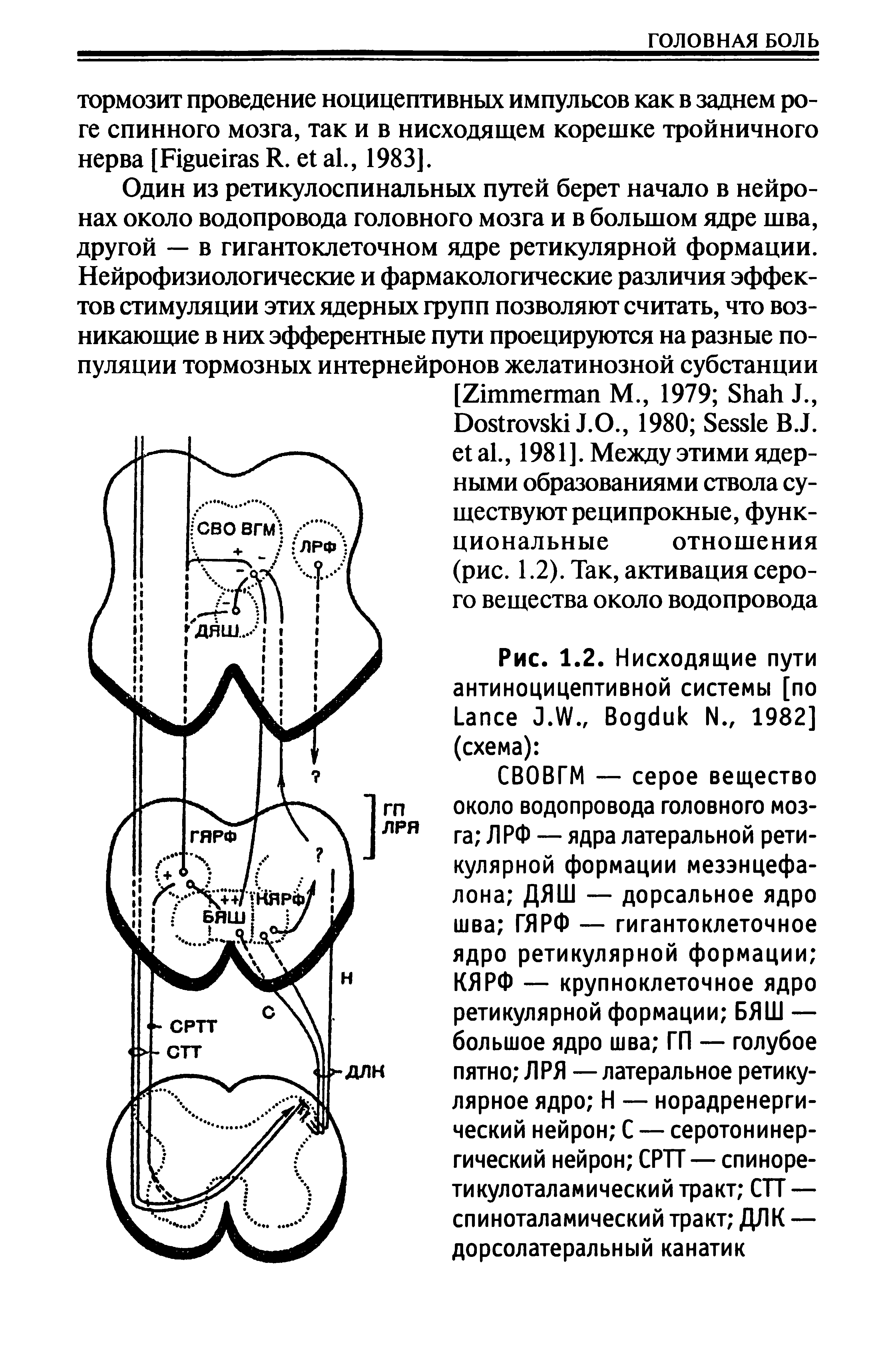 Рис. 1.2. Нисходящие пути антиноцицептивной системы [по L J.W., B N., 1982] (схема) ...