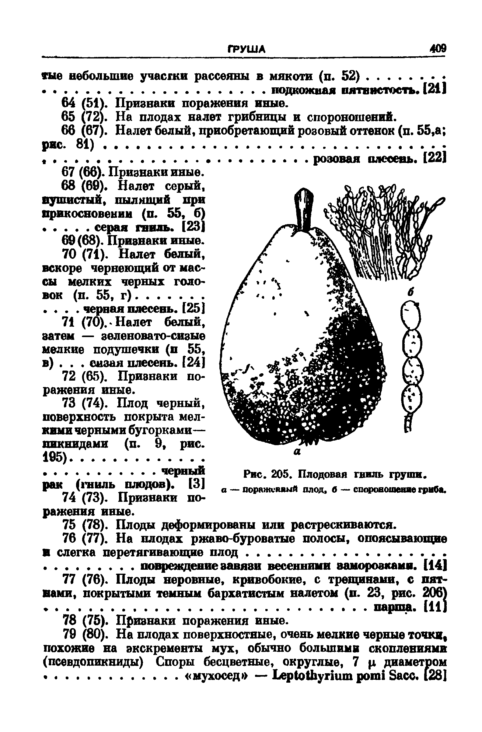 Рис. 205. Плодовая гниль груши, а — поражишшй плод, б — спороношение гриба.