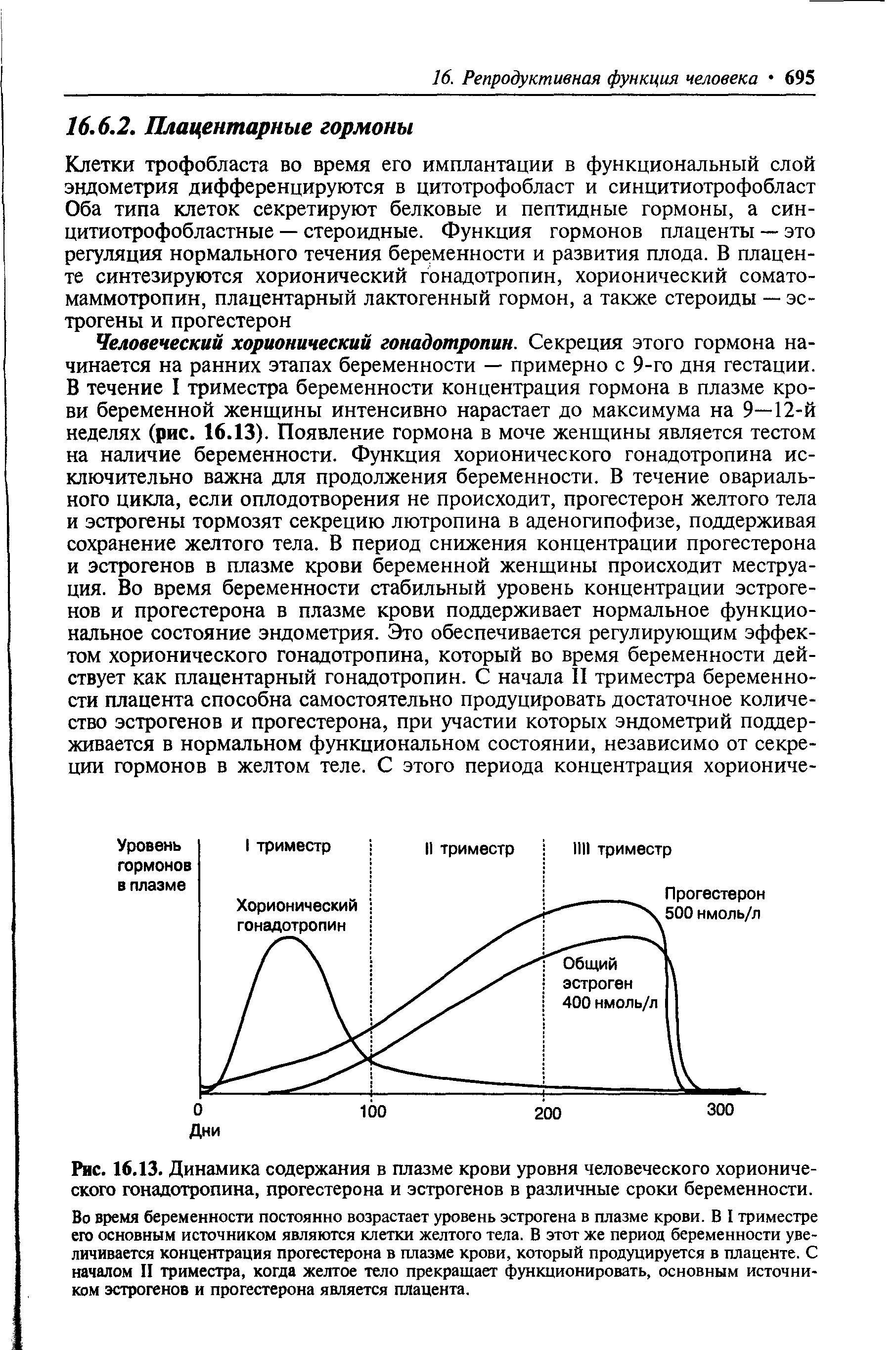 Рис. 16.13. Динамика содержания в плазме крови уровня человеческого хорионического гонадотропина, прогестерона и эстрогенов в различные сроки беременности.