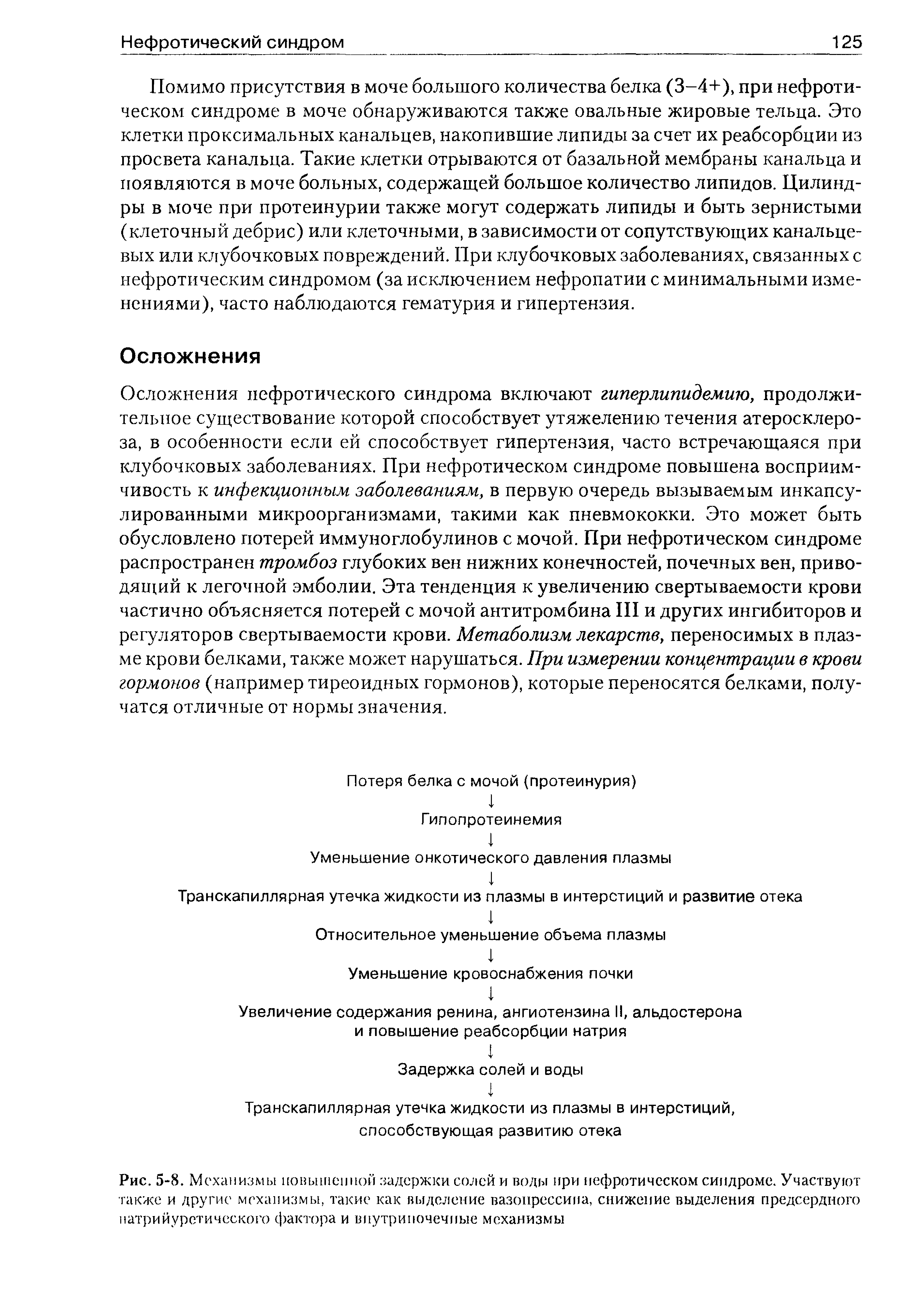 Рис. 5-8. Механизмы повышенной задержки солей и воды при нефротическом синдроме. Участвуют также и другие механизмы, такие как выделение вазопрессина, снижение выделения предсердного натрийуретического фактора и внутрипочечные механизмы...