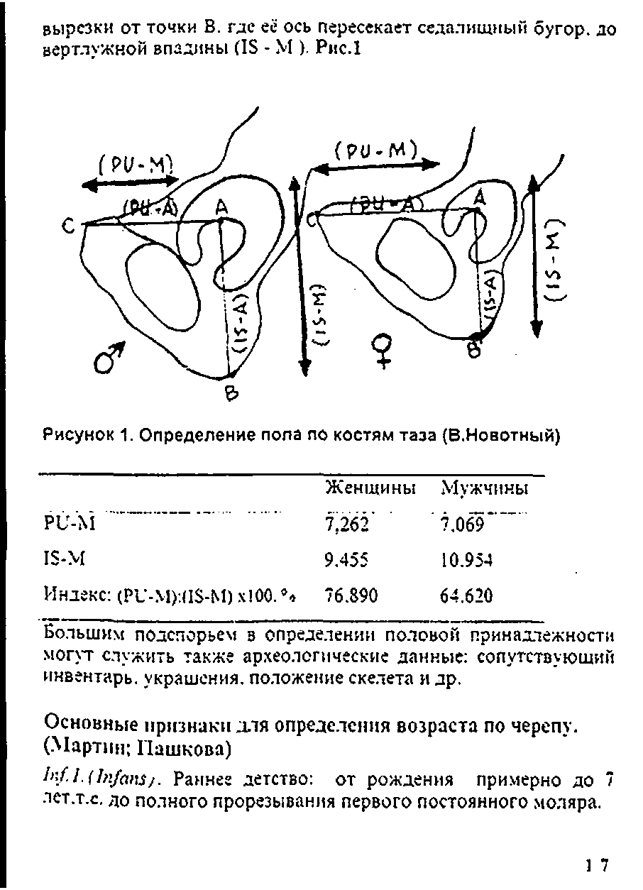 Рисунок 1. Определение пола по костям таза (В.Новотный)...