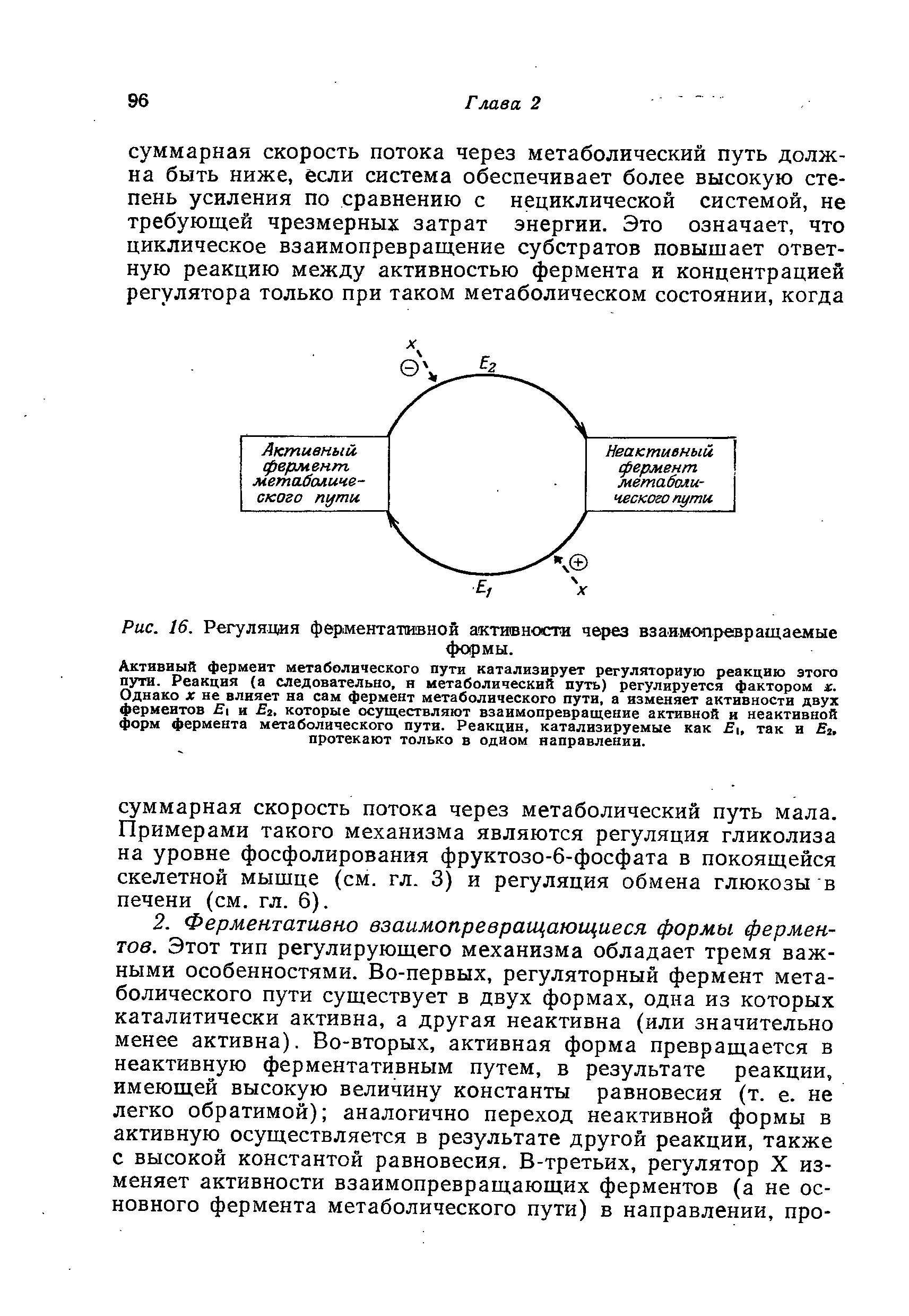 Рис. 16. Регуляция ферментативной активности через взаимопревращаемые формы.