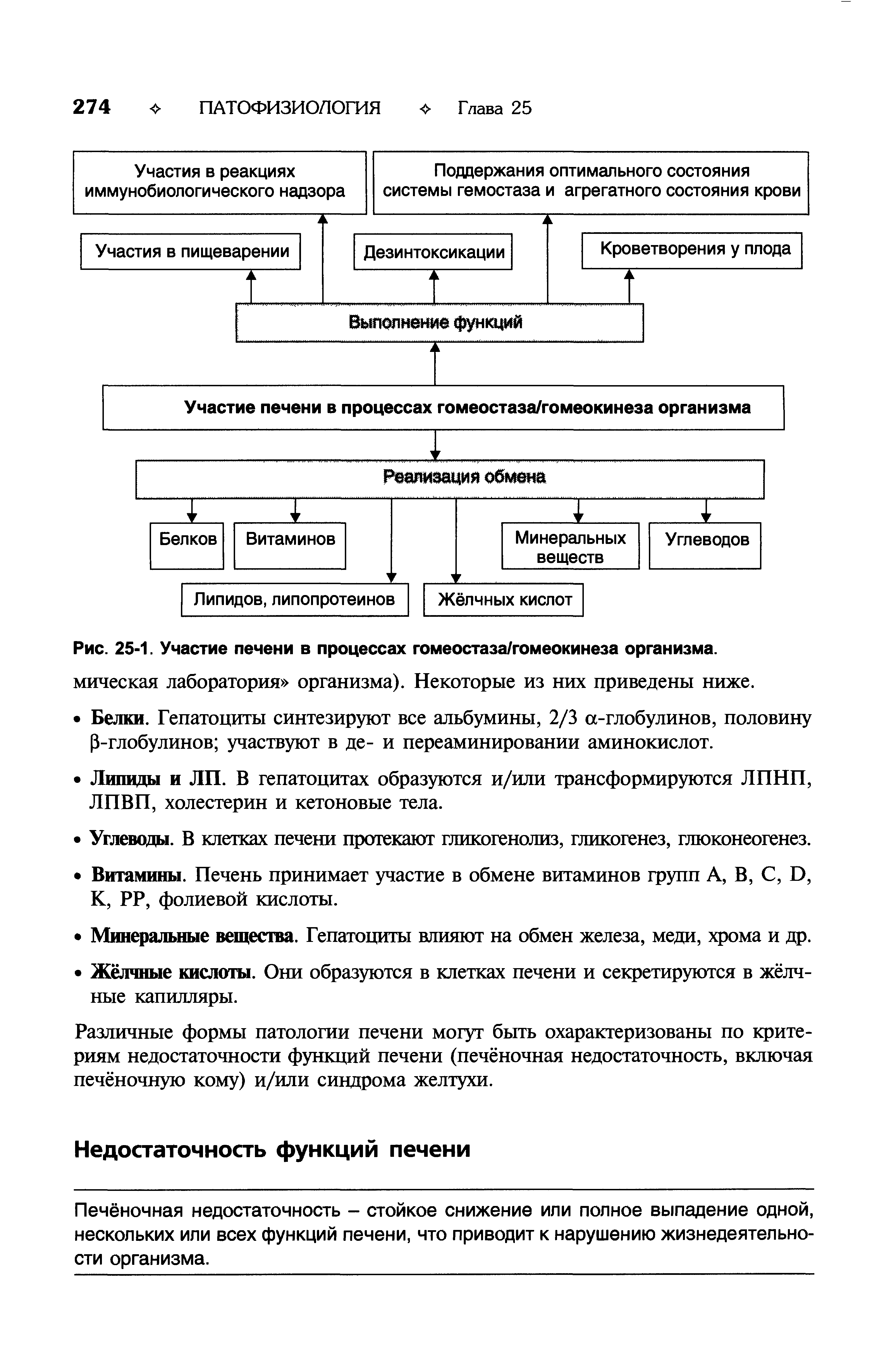 Рис. 25-1. Участие печени в процессах гомеостаза/гомеокинеза организма.