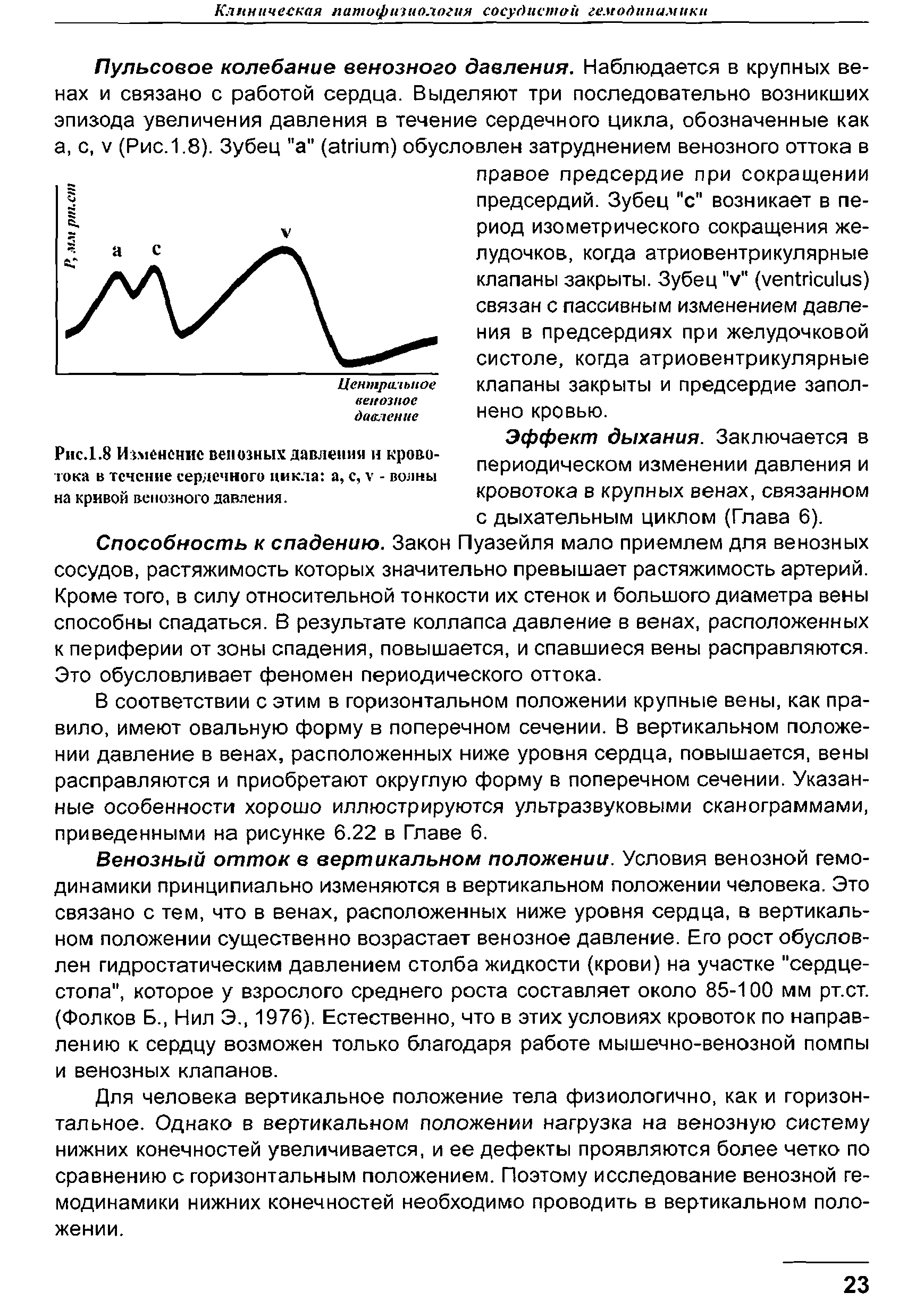 Рис.1.8 Изменение венозных давления и кровотока в течение сердечного цикла а, с, V - волны на кривой венозного давления.