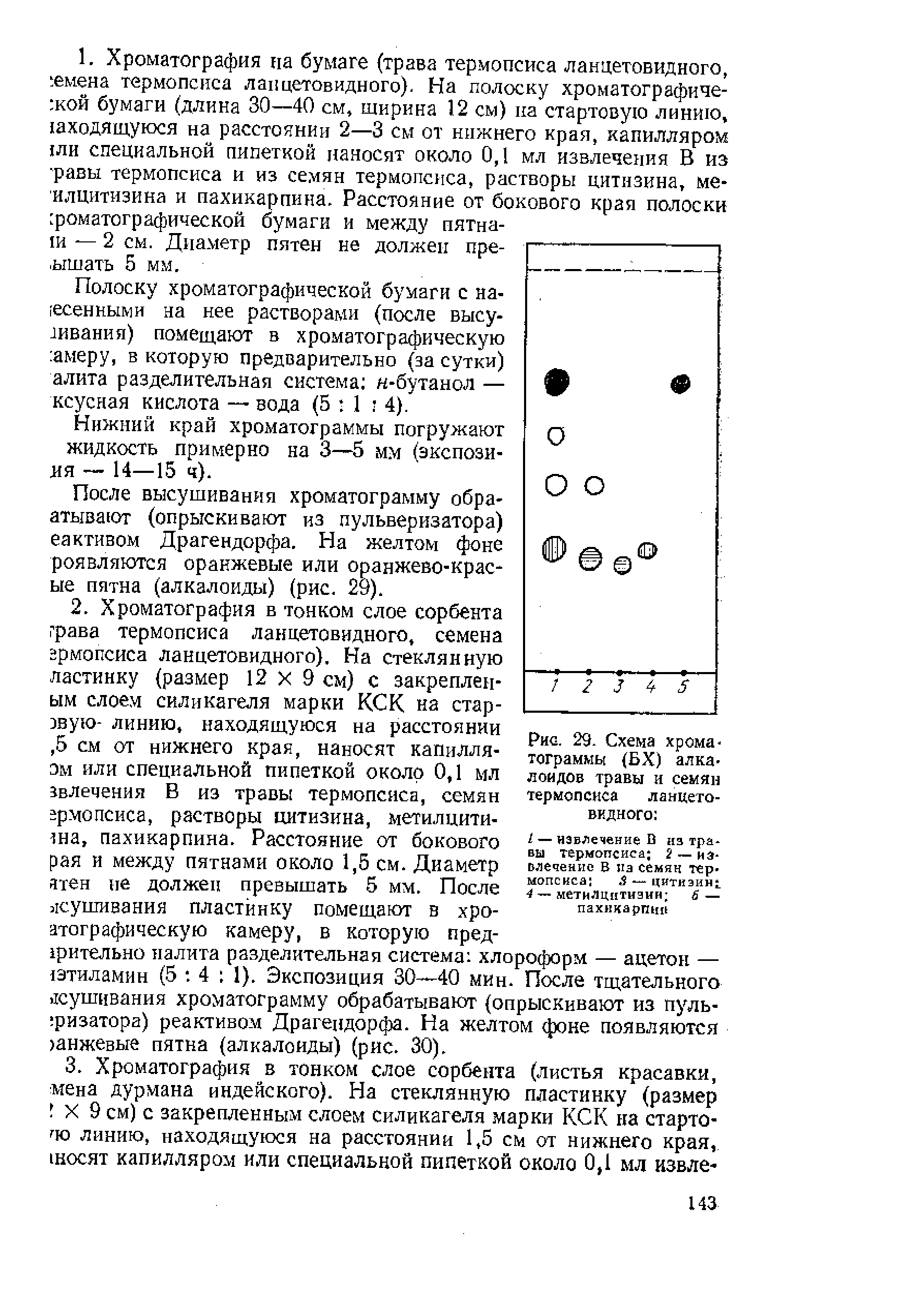 Рис. 29. Схема хроматограммы (БХ) алкалоидов травы и семян термопсиса ланцетовидного ...